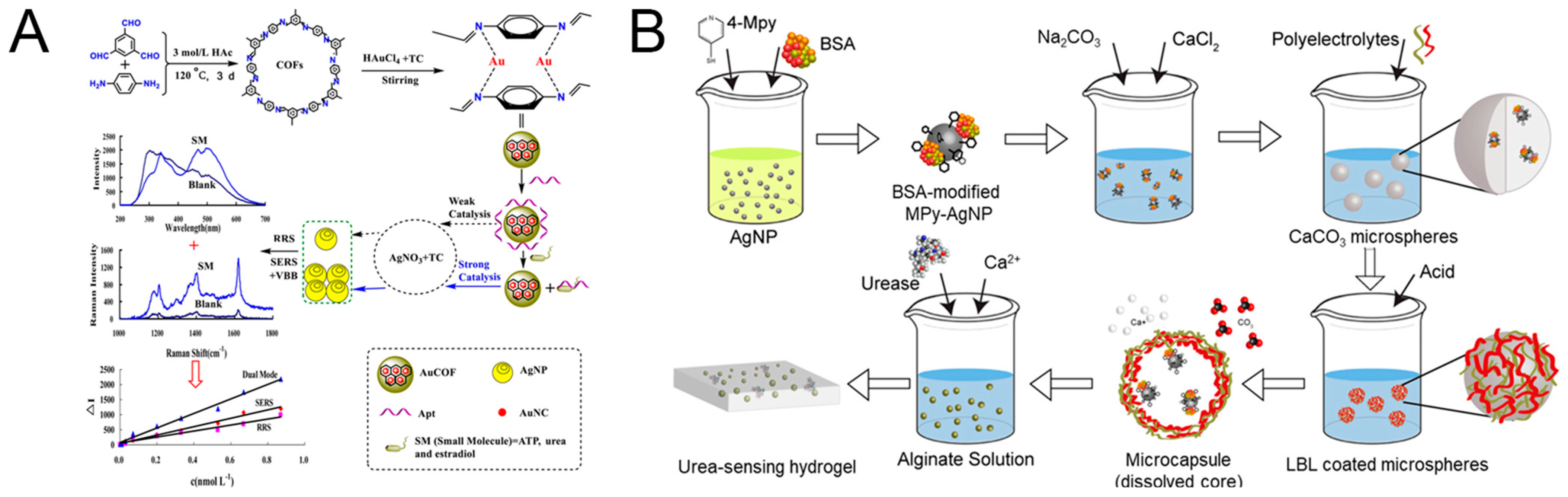 Biosensors 14 00564 g016