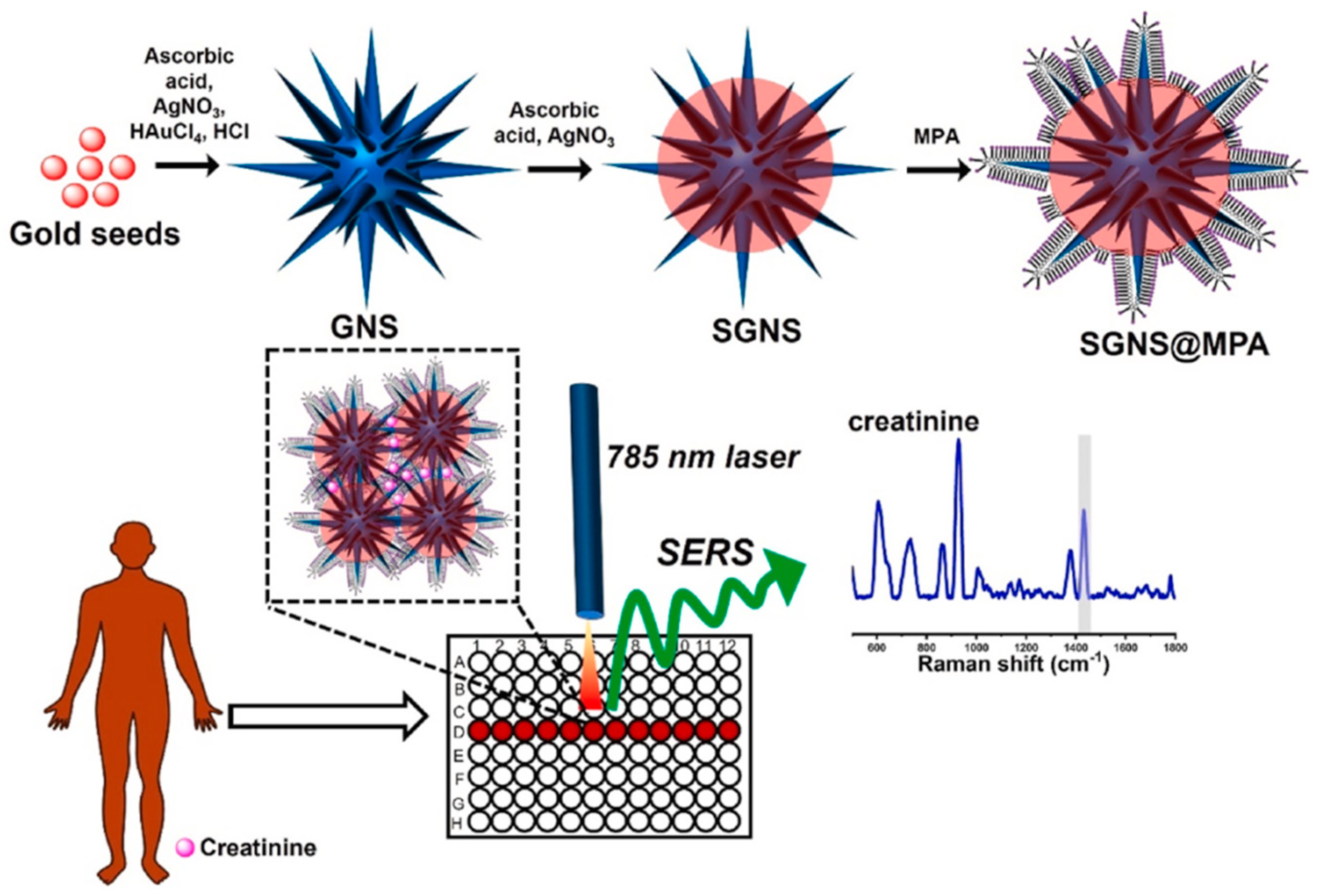 Biosensors 14 00564 g017