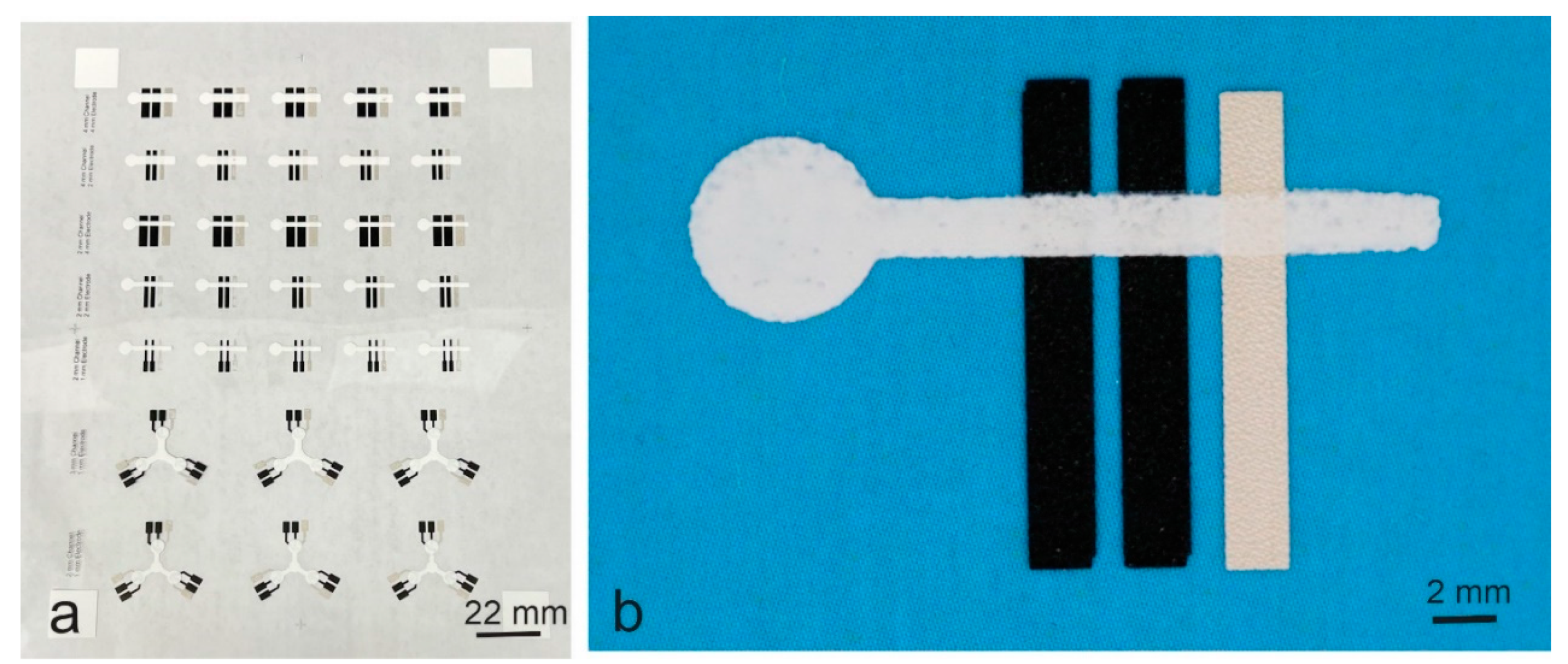 Biosensors 14 00569 g003 Biosensors 14 00569 g003