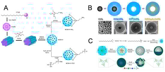 Biosensors 14 00575 g001