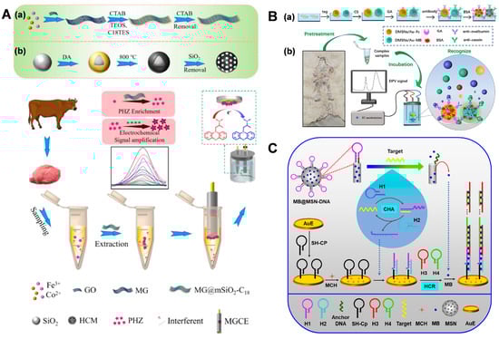 Biosensors 14 00575 g004