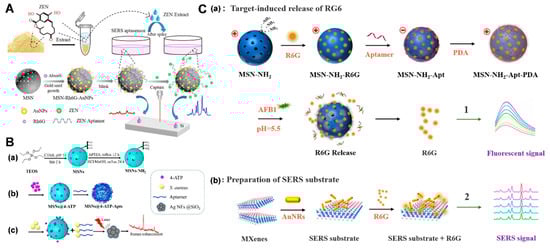 Biosensors 14 00575 g006