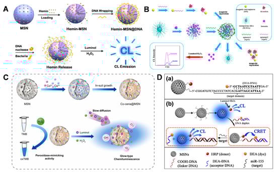 Biosensors 14 00575 g007