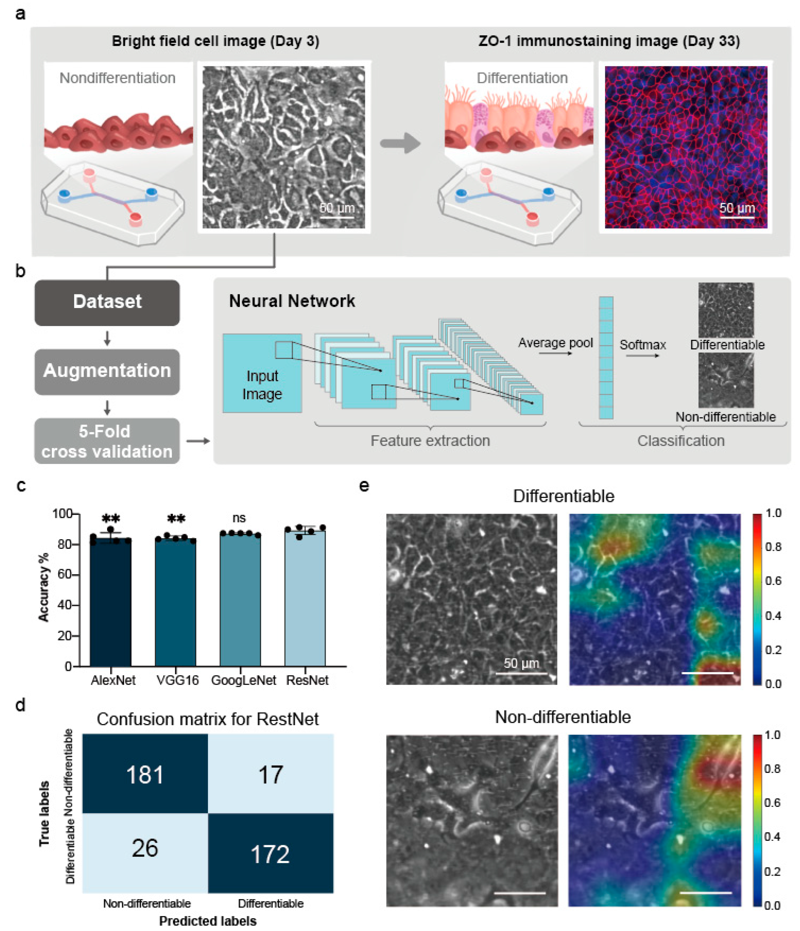 Biosensors 14 00581 g002