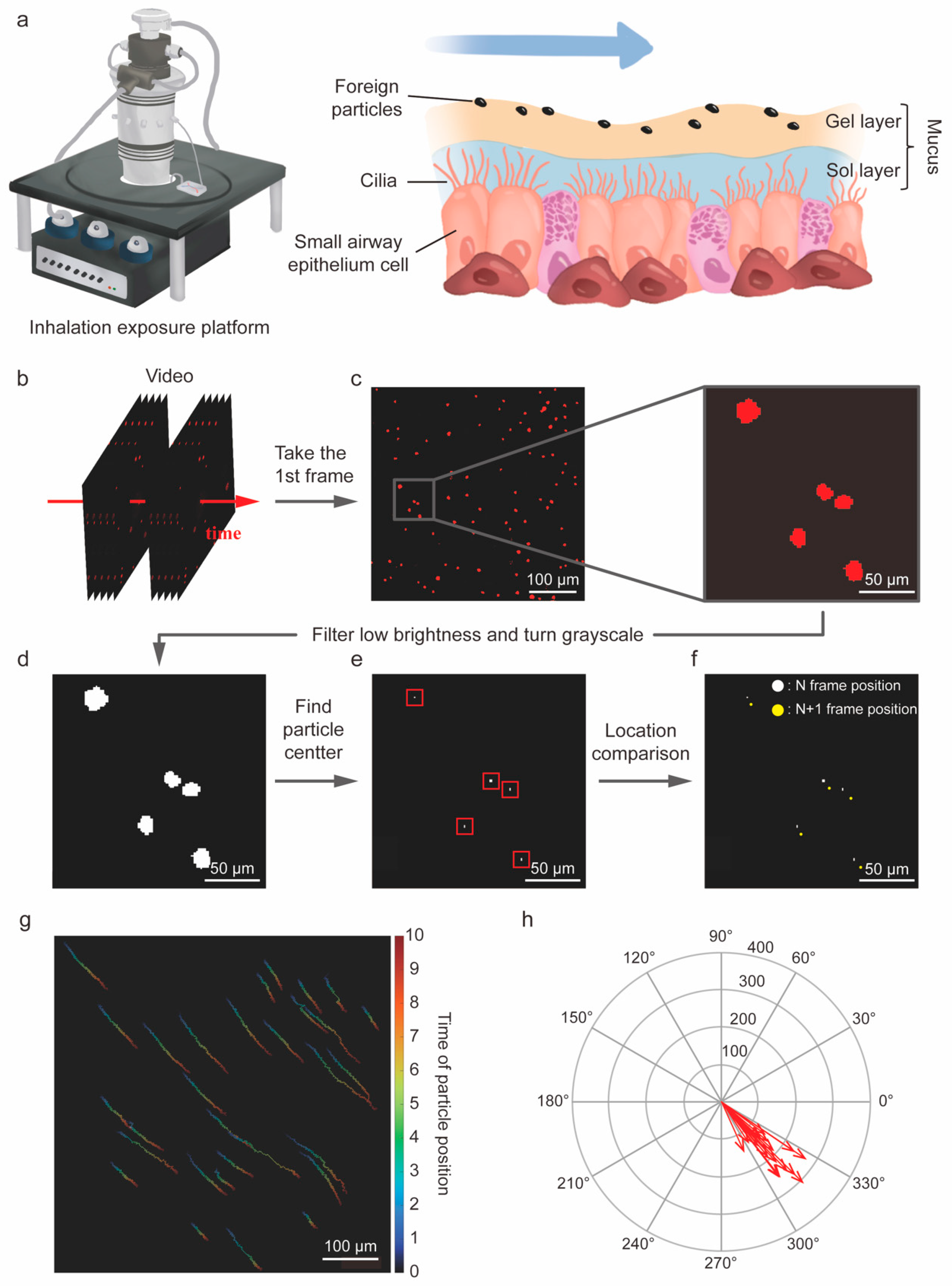 Biosensors 14 00581 g004