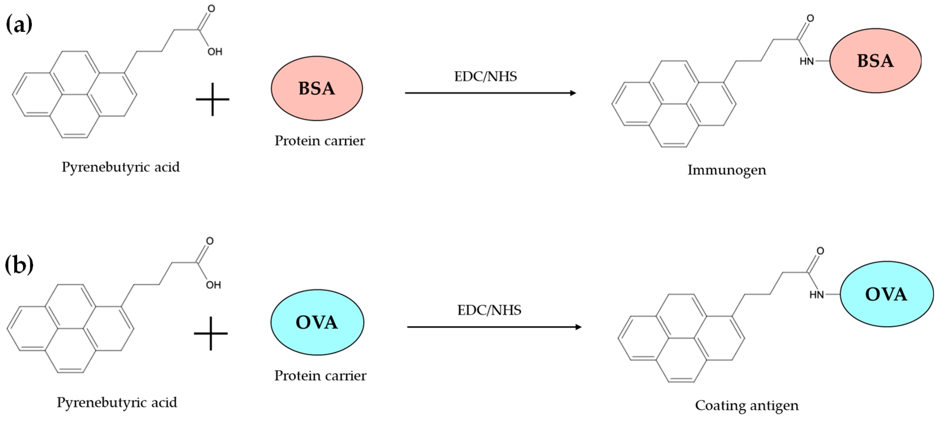 Biosensors 14 00588 g001