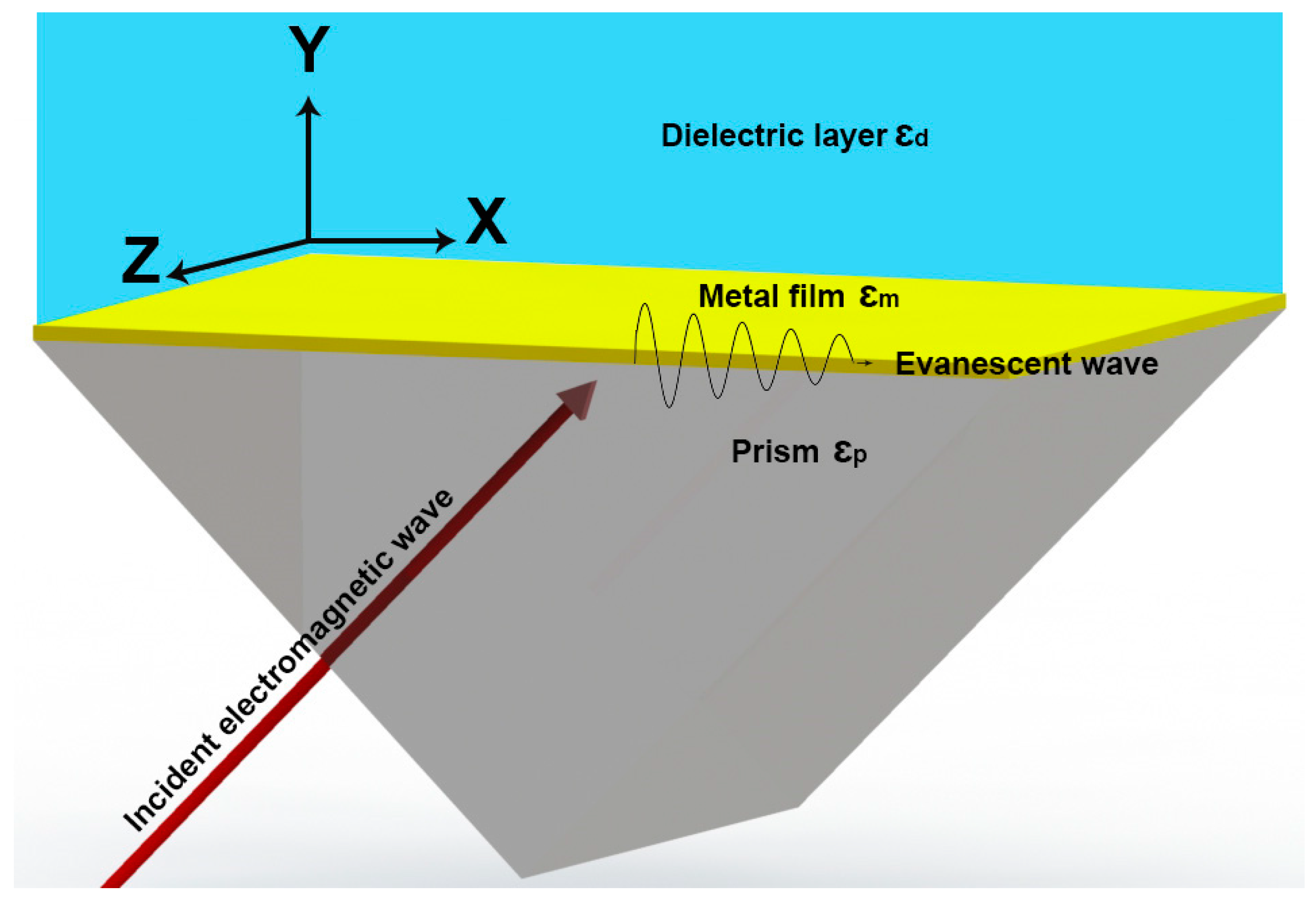 Biosensors 14 00593 g001