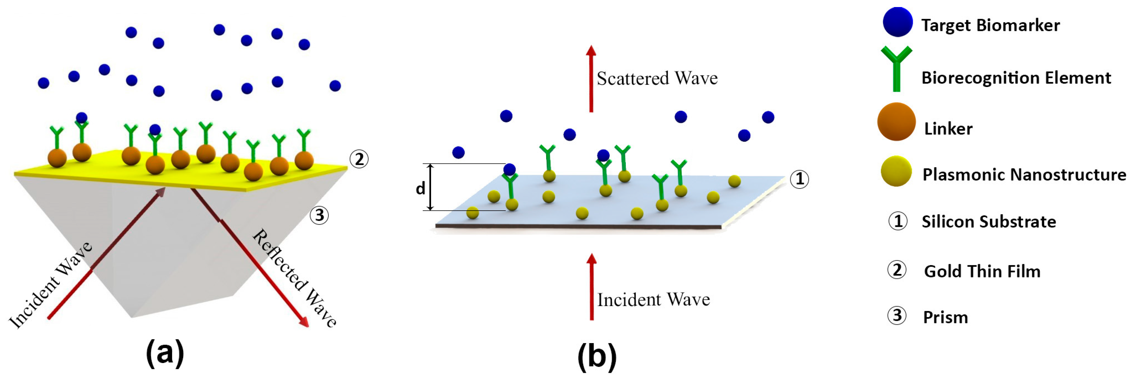 Biosensors 14 00593 g002