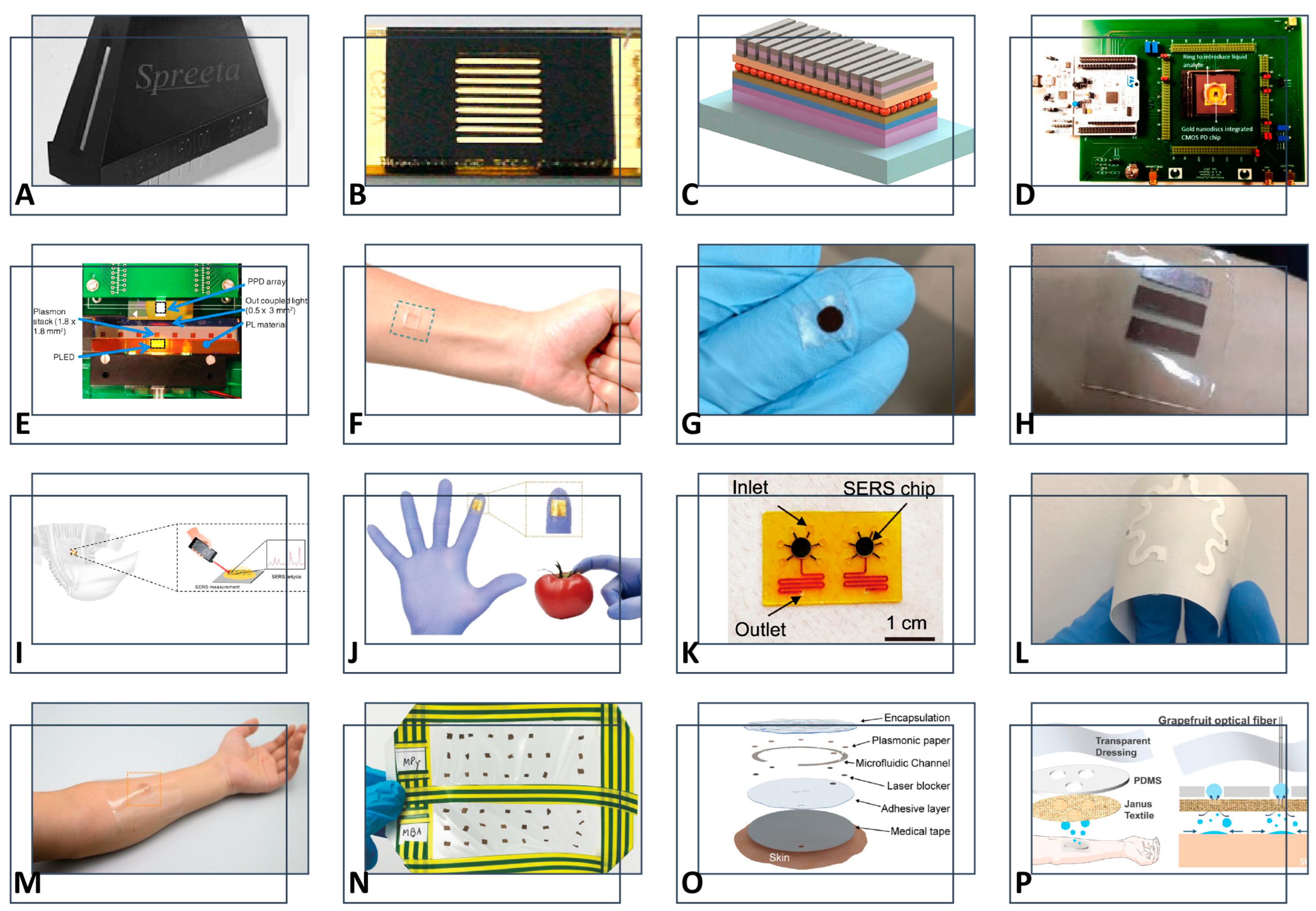 Biosensors 14 00593 g003
