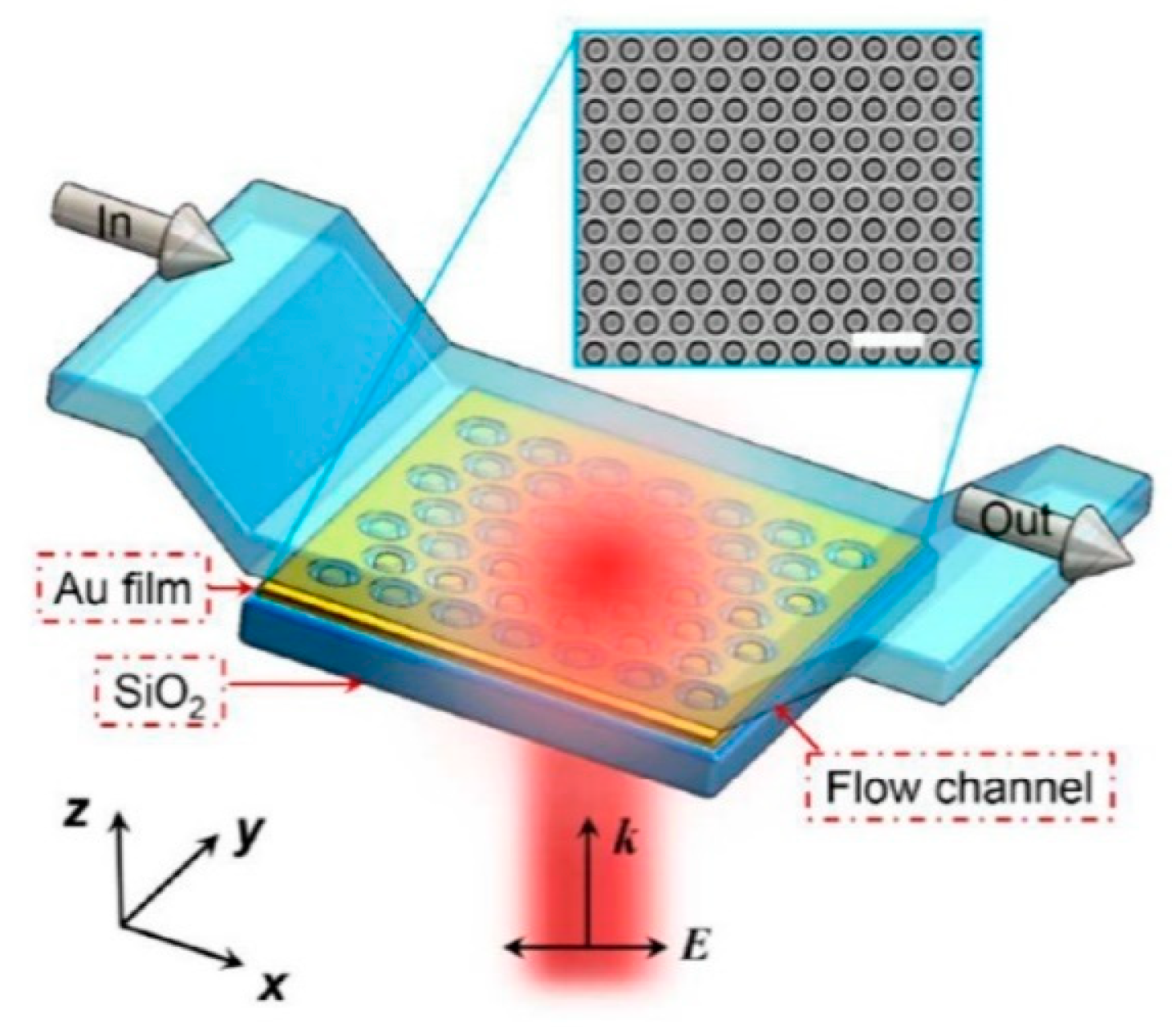 Biosensors 14 00593 g004