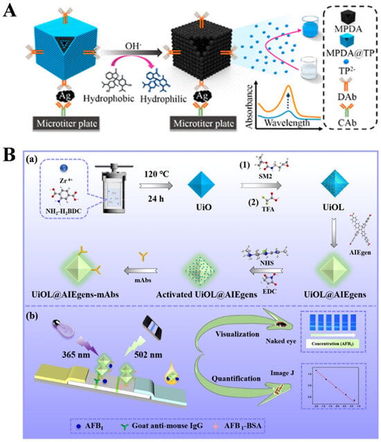 Biosensors 14 00597 g005