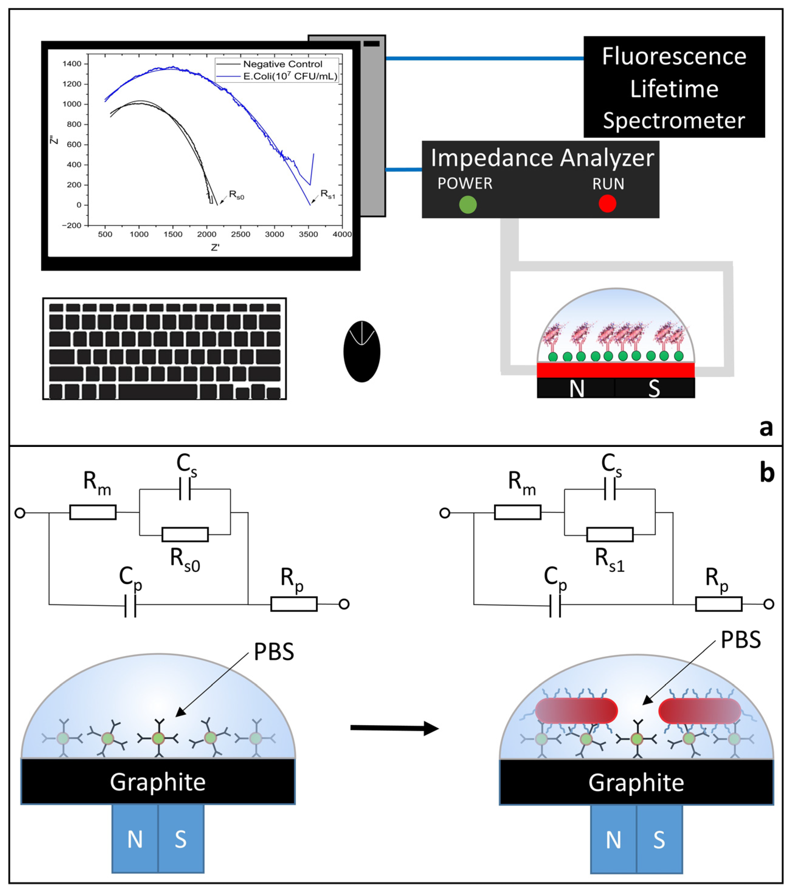 Biosensors 14 00603 g004