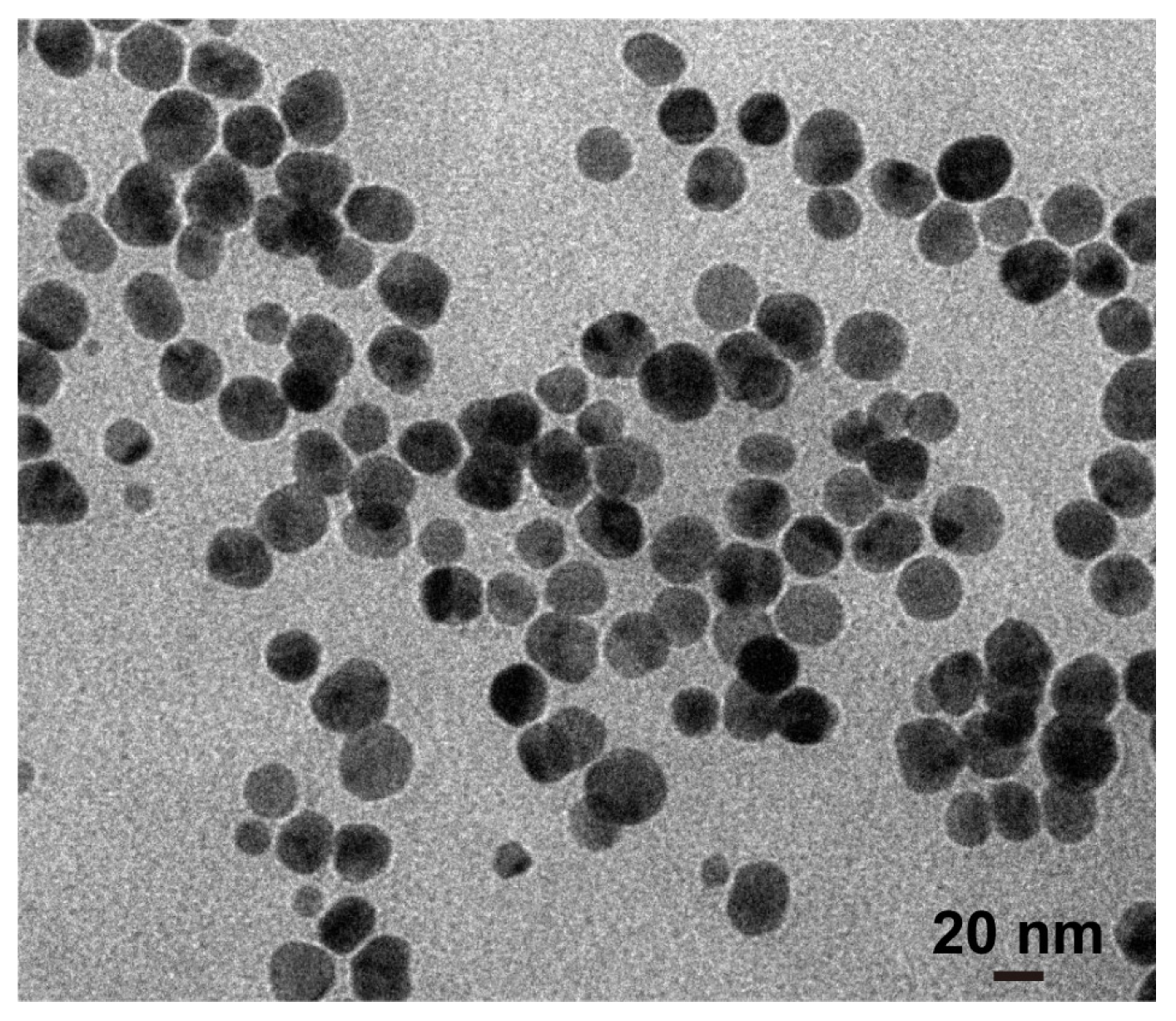 Biosensors 14 00606 g001