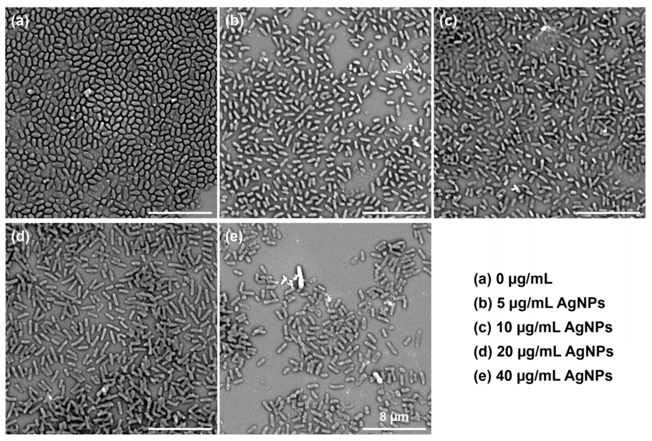 Biosensors 14 00606 g003