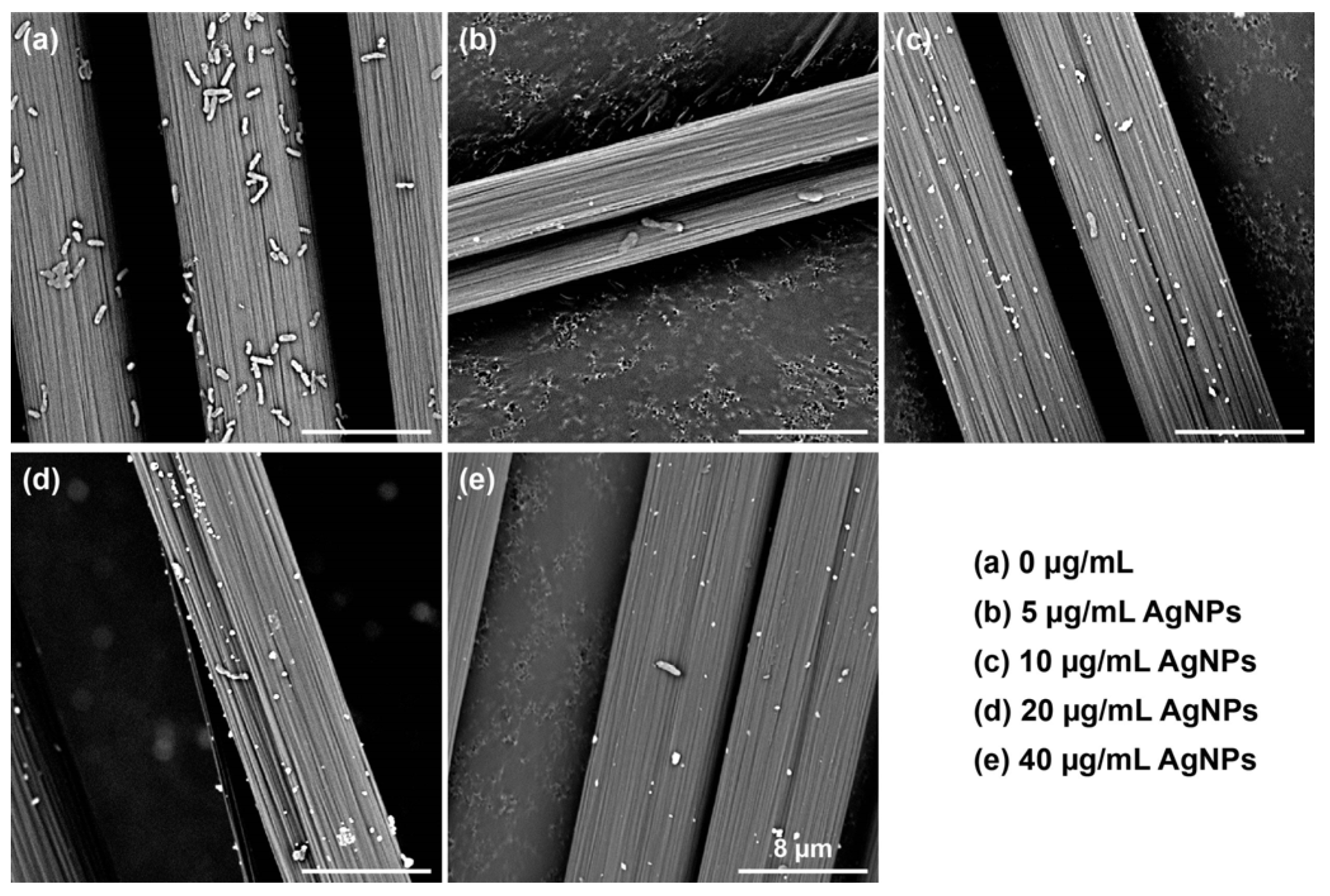 Biosensors 14 00606 g009