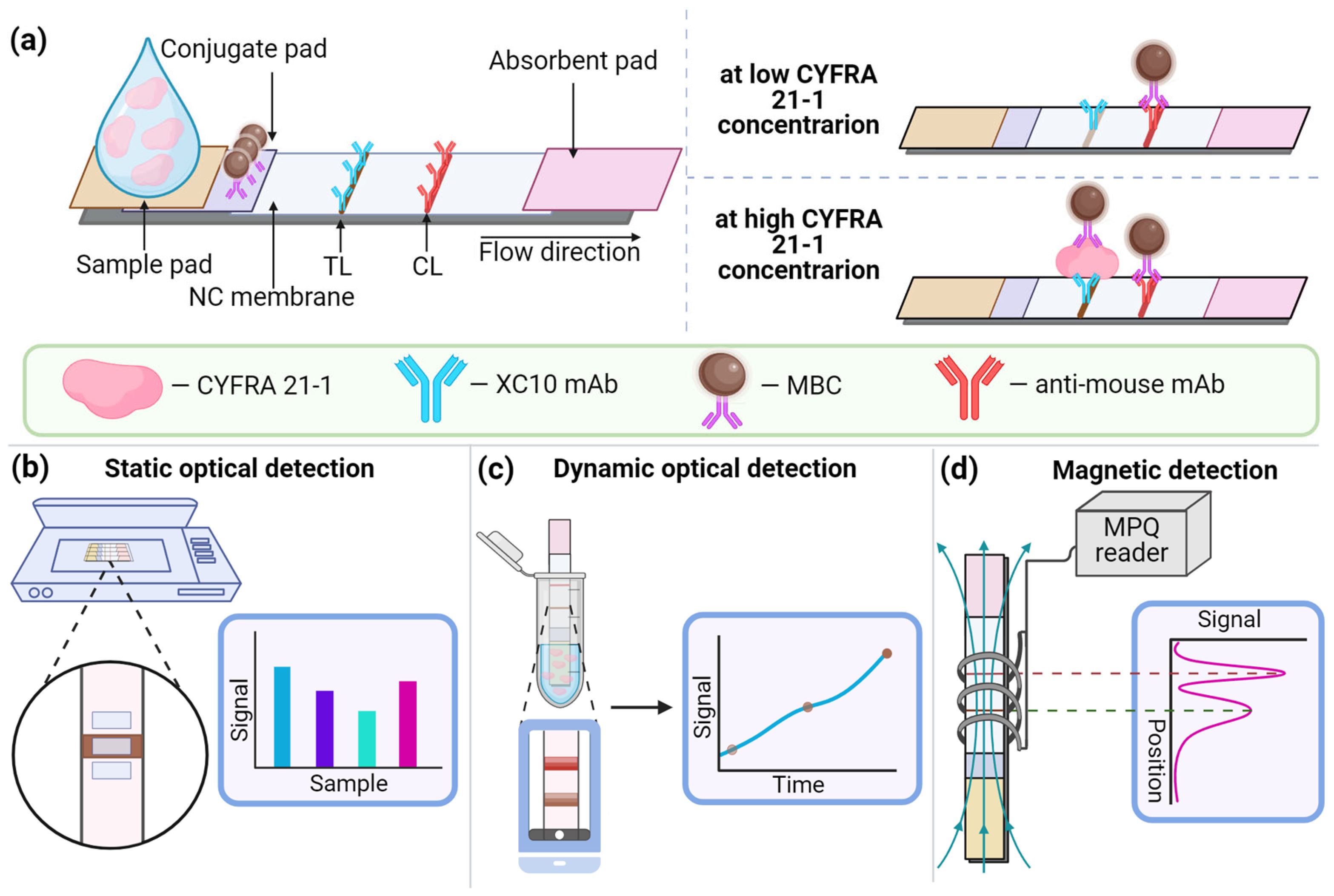 Biosensors 14 00607 g001