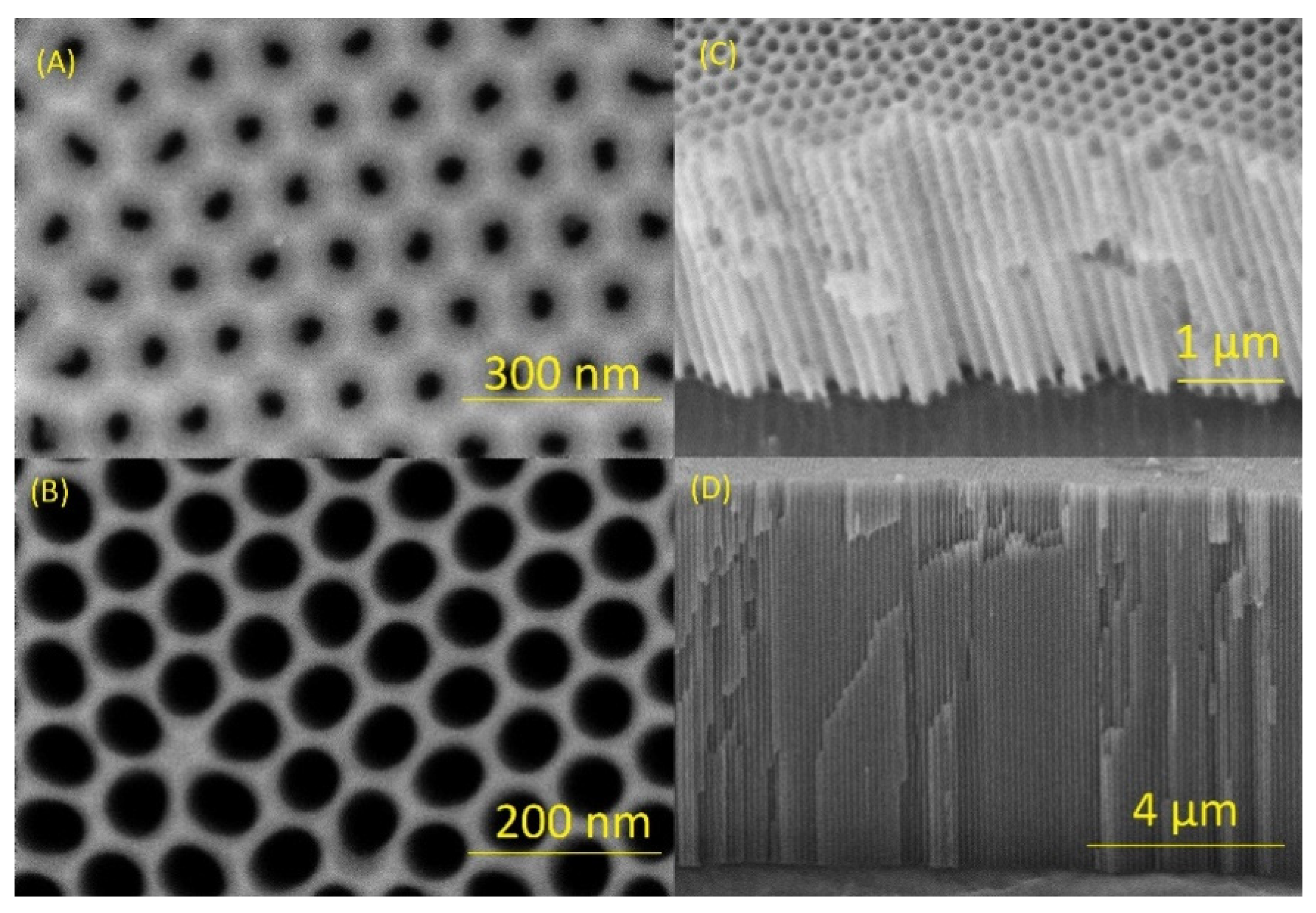 Biosensors 14 00610 g002