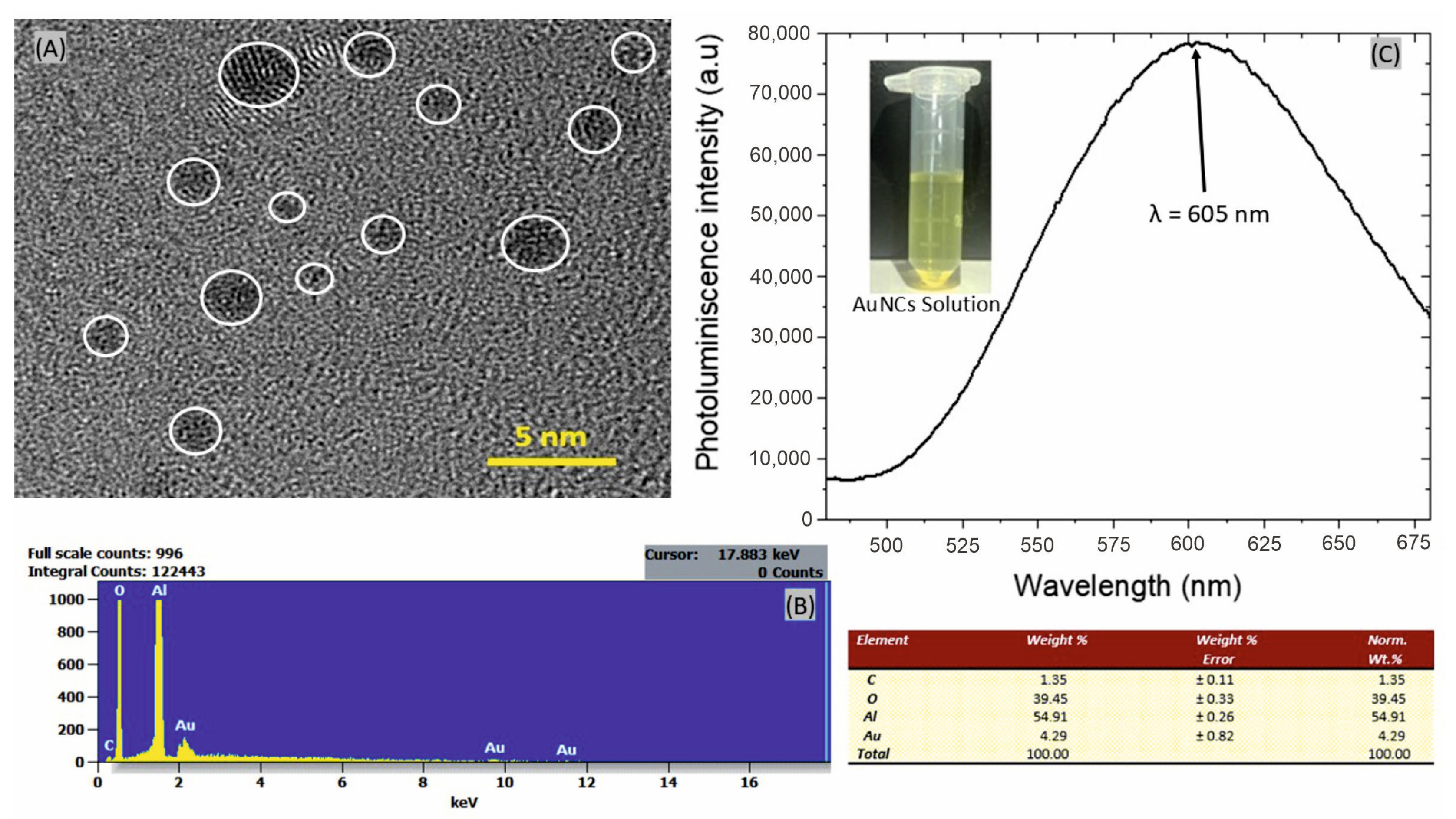 Biosensors 14 00610 g003