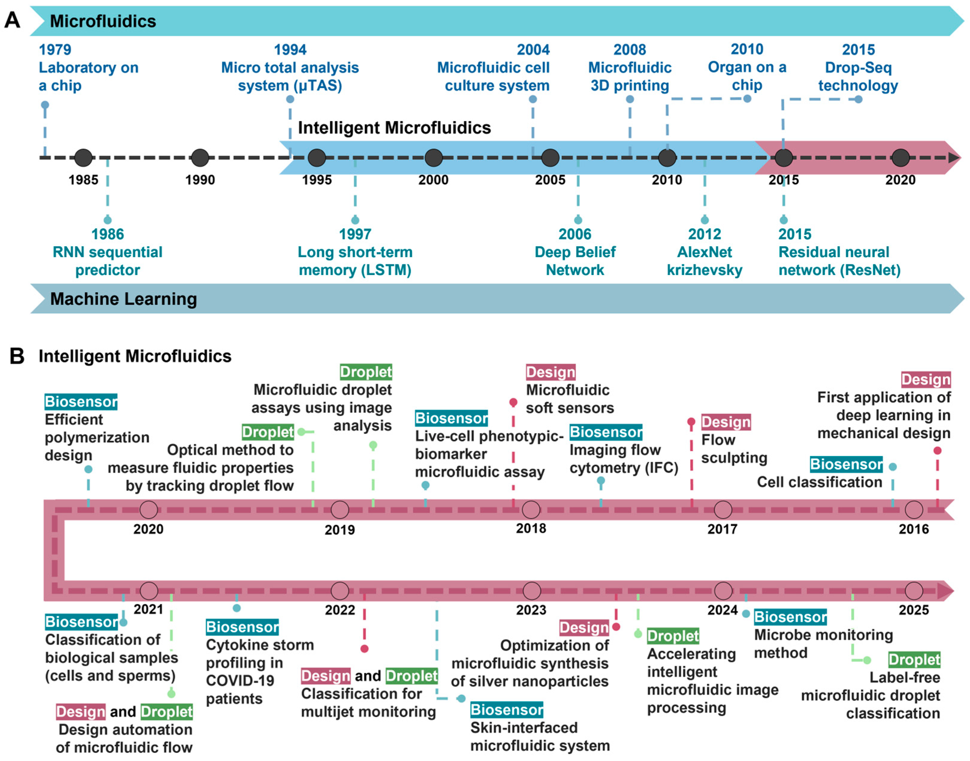 Biosensors 14 00613 g001