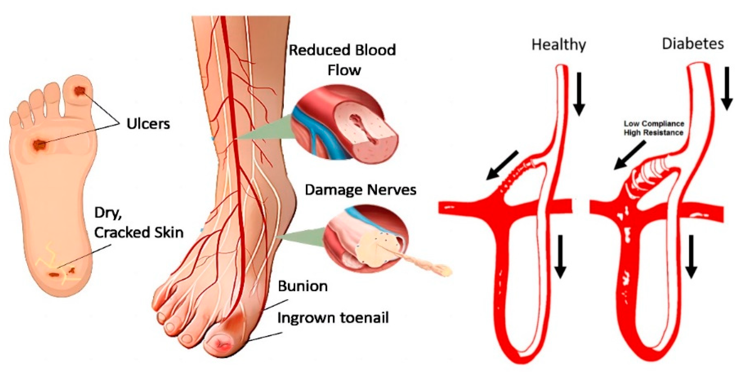 Biosensors 14 00614 g001