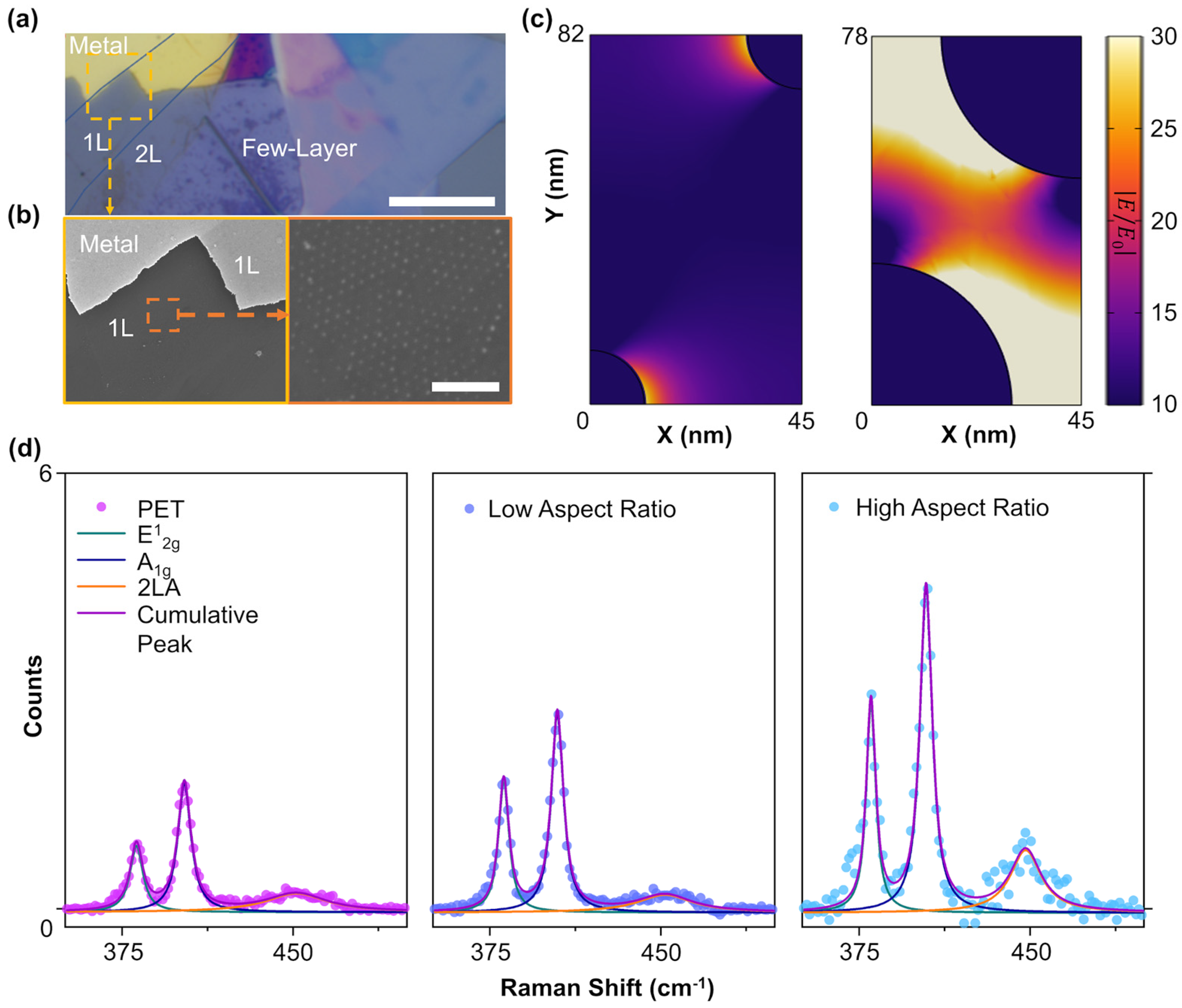 Biosensors 14 00619 g002