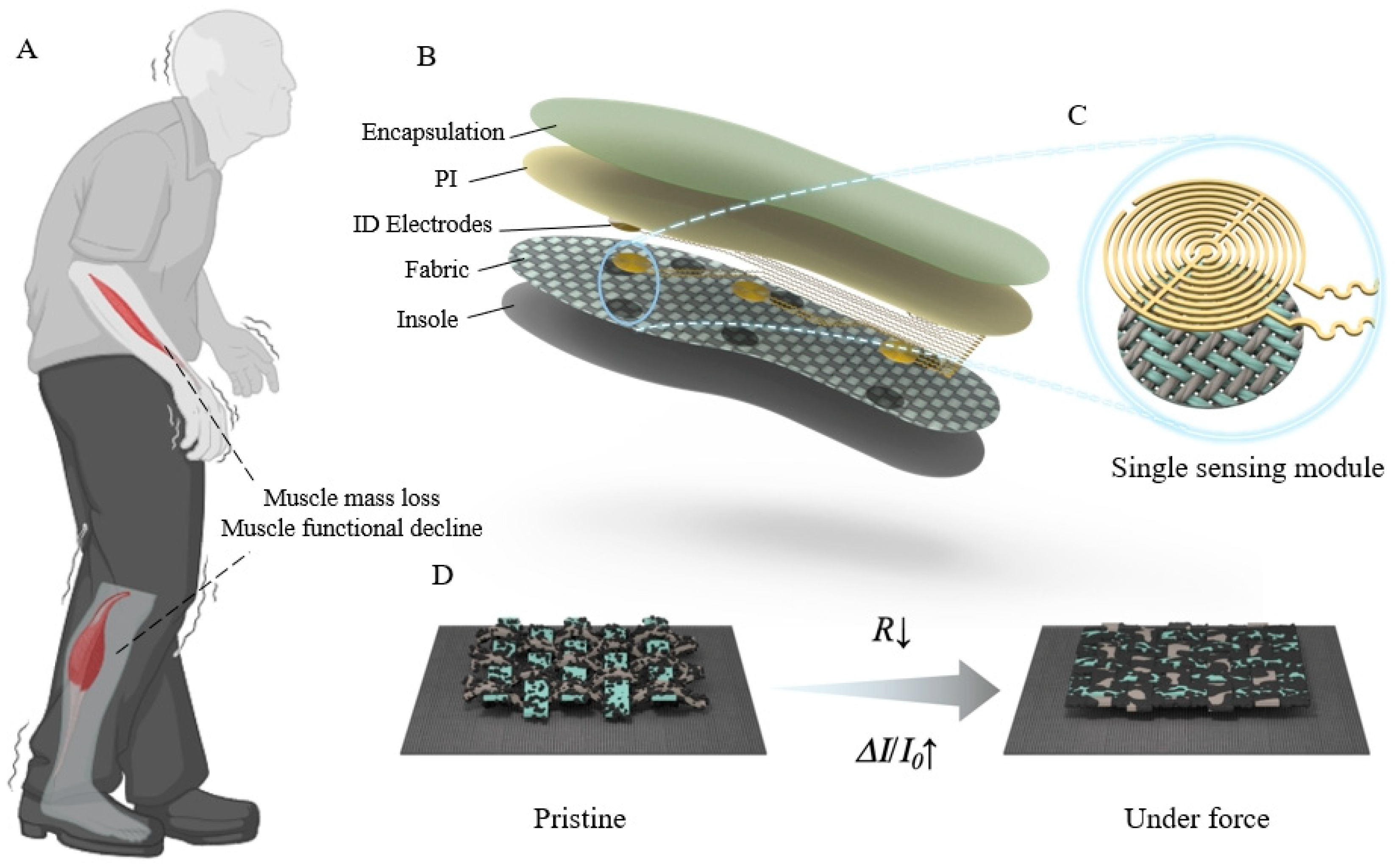 Biosensors 14 00622 g001