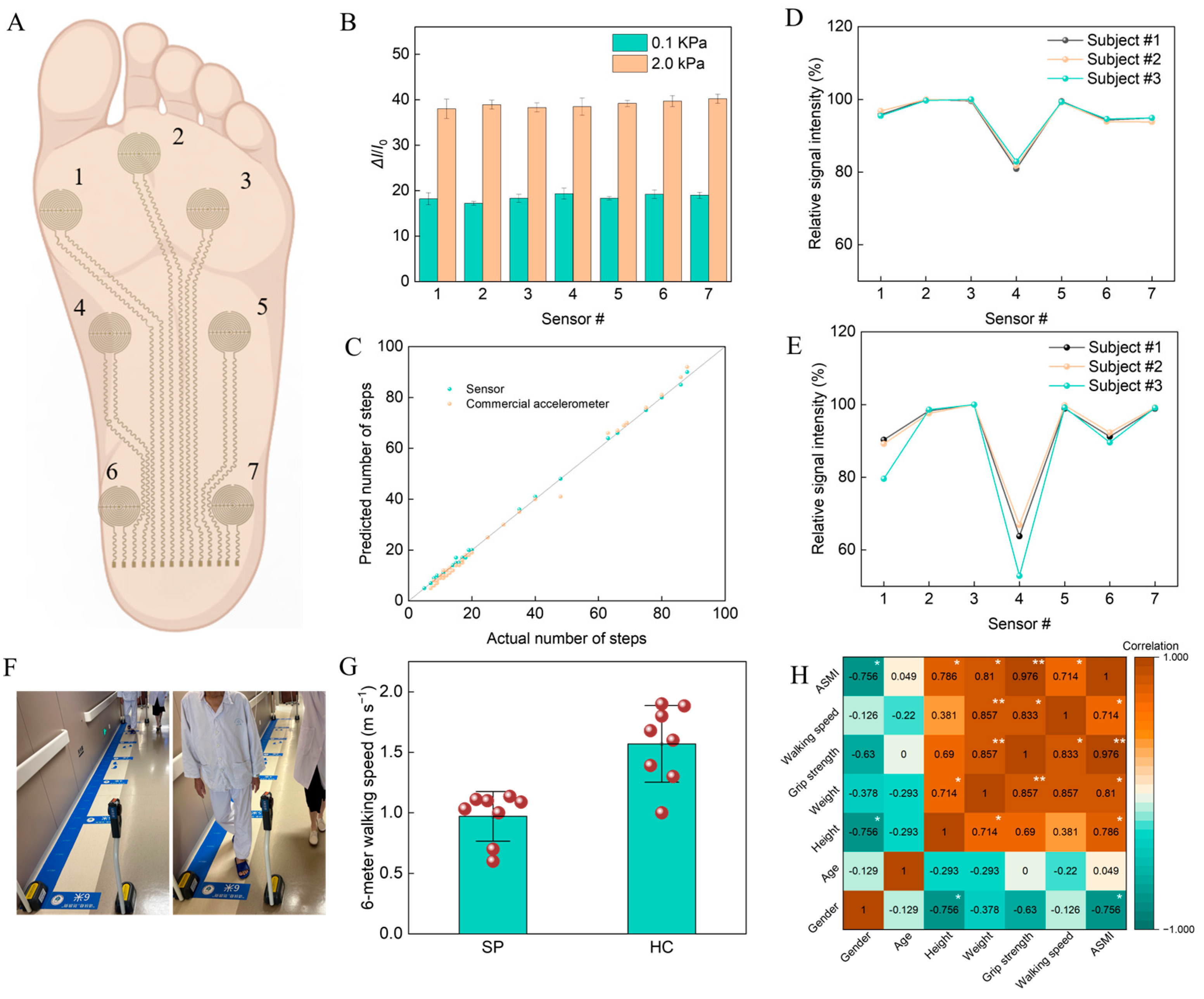 Biosensors 14 00622 g004
