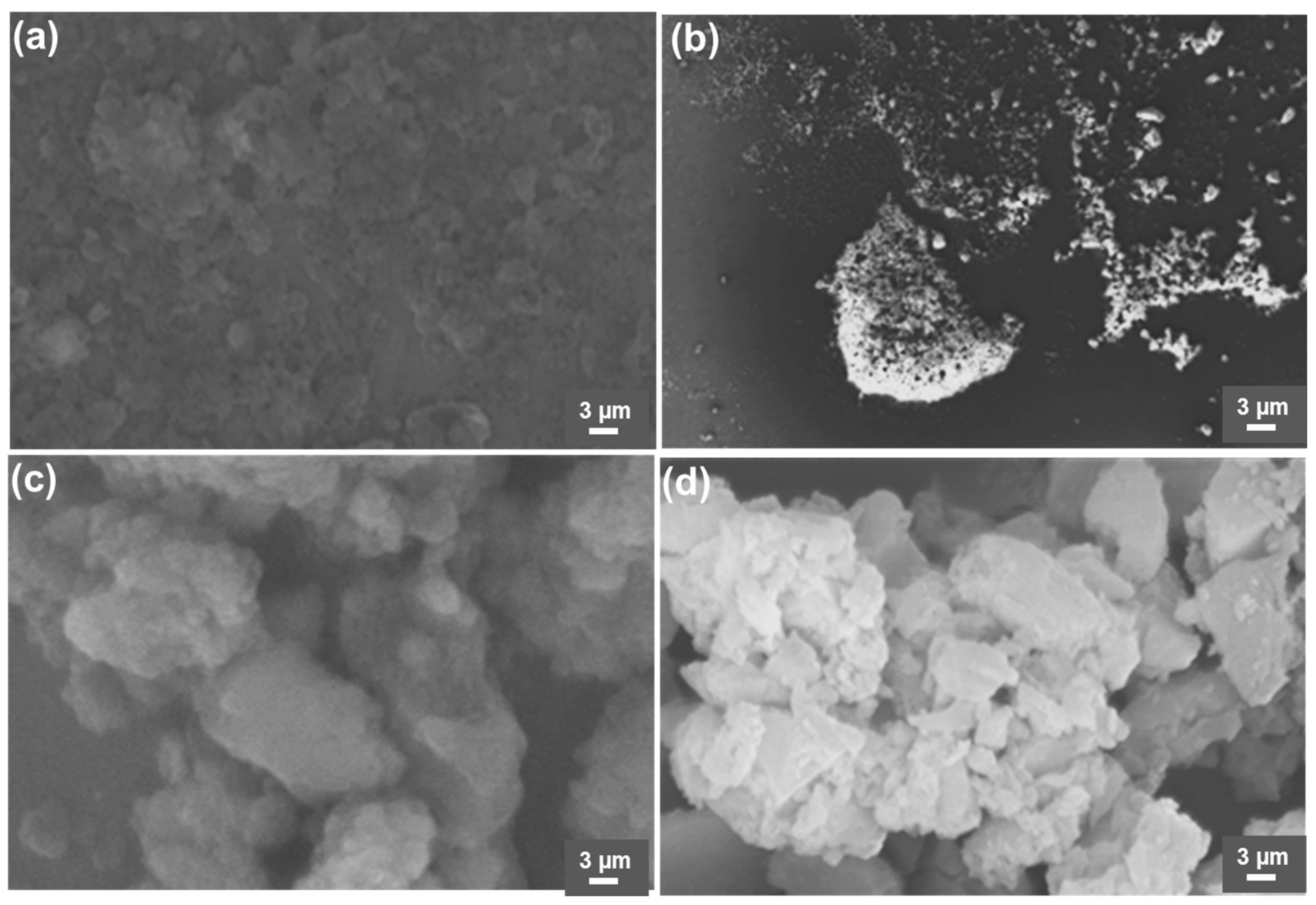 Biosensors 14 00623 g001