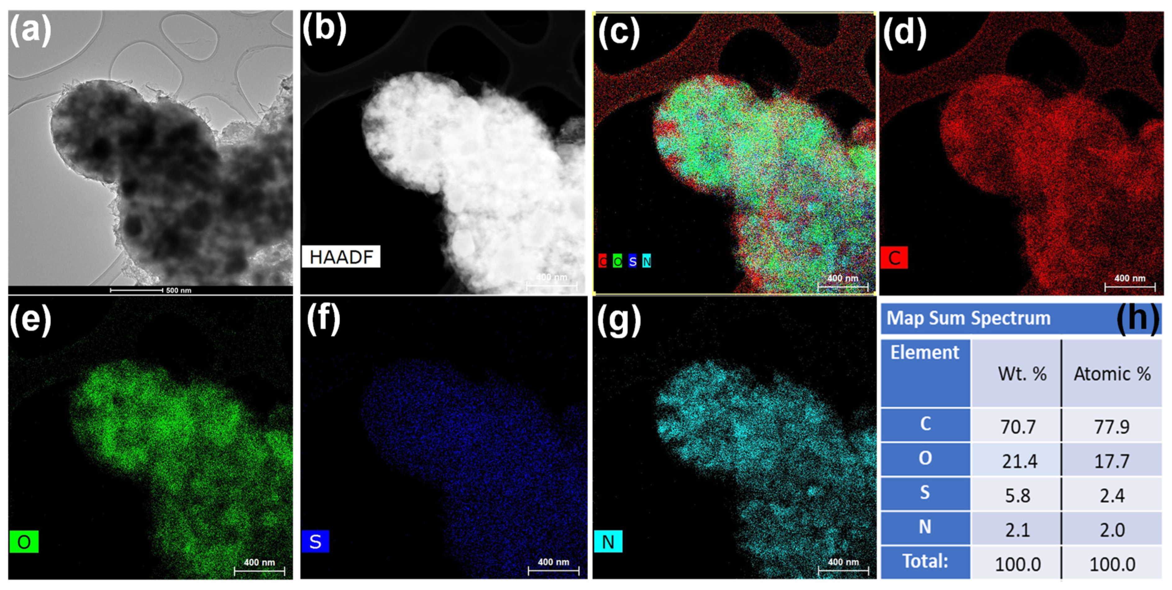 Biosensors 14 00623 g003