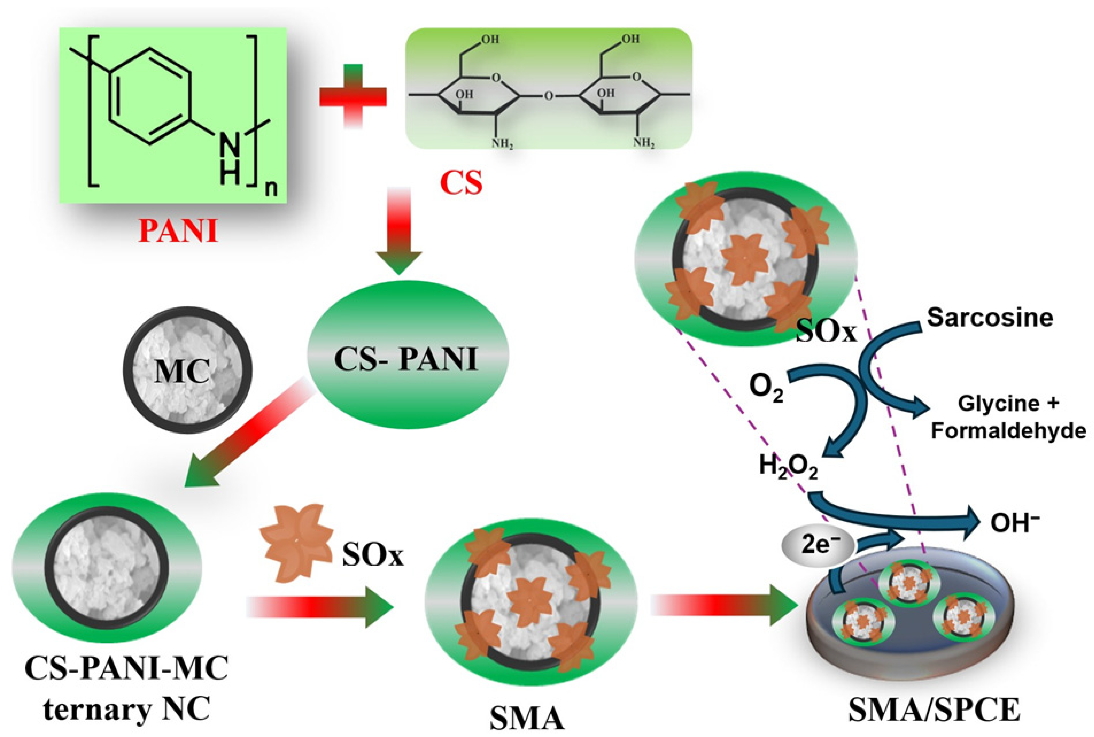 Biosensors 14 00623 sch001