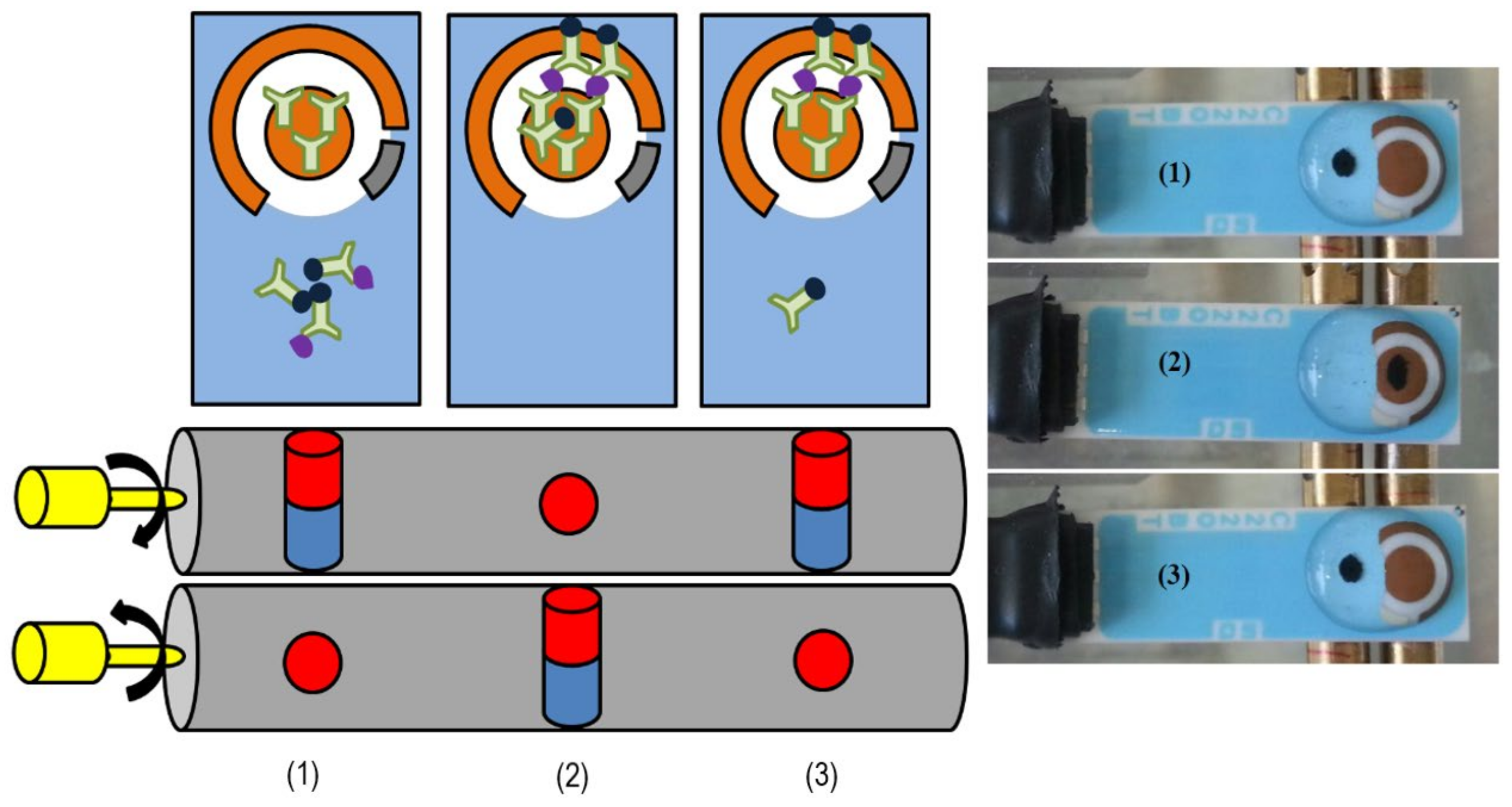 Biosensors 14 00624 g002