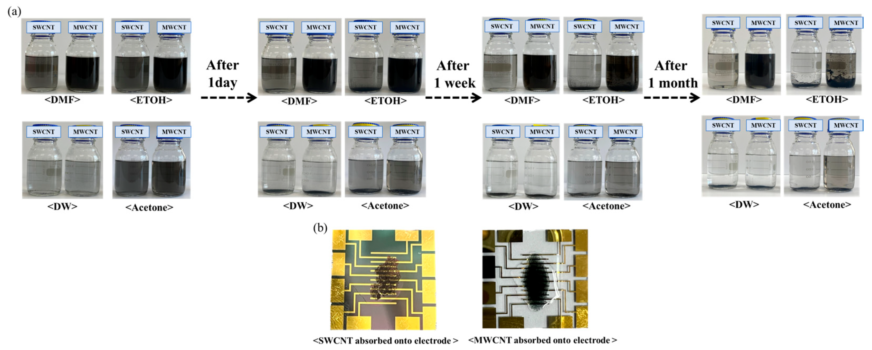 Biosensors 14 00630 g002