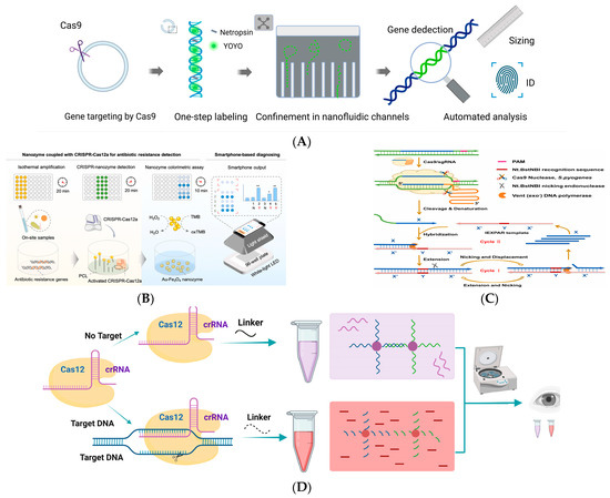 Biosensors 14 00633 g002