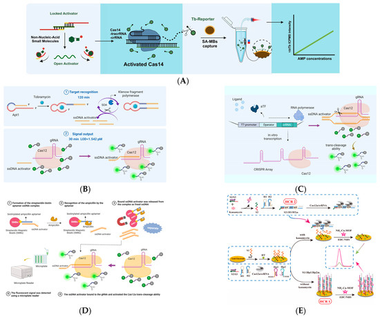 Biosensors 14 00633 g003