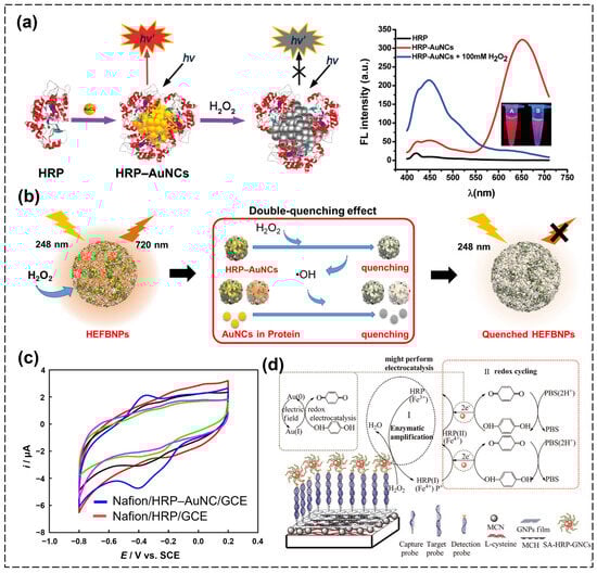 Biosensors 15 00002 g002