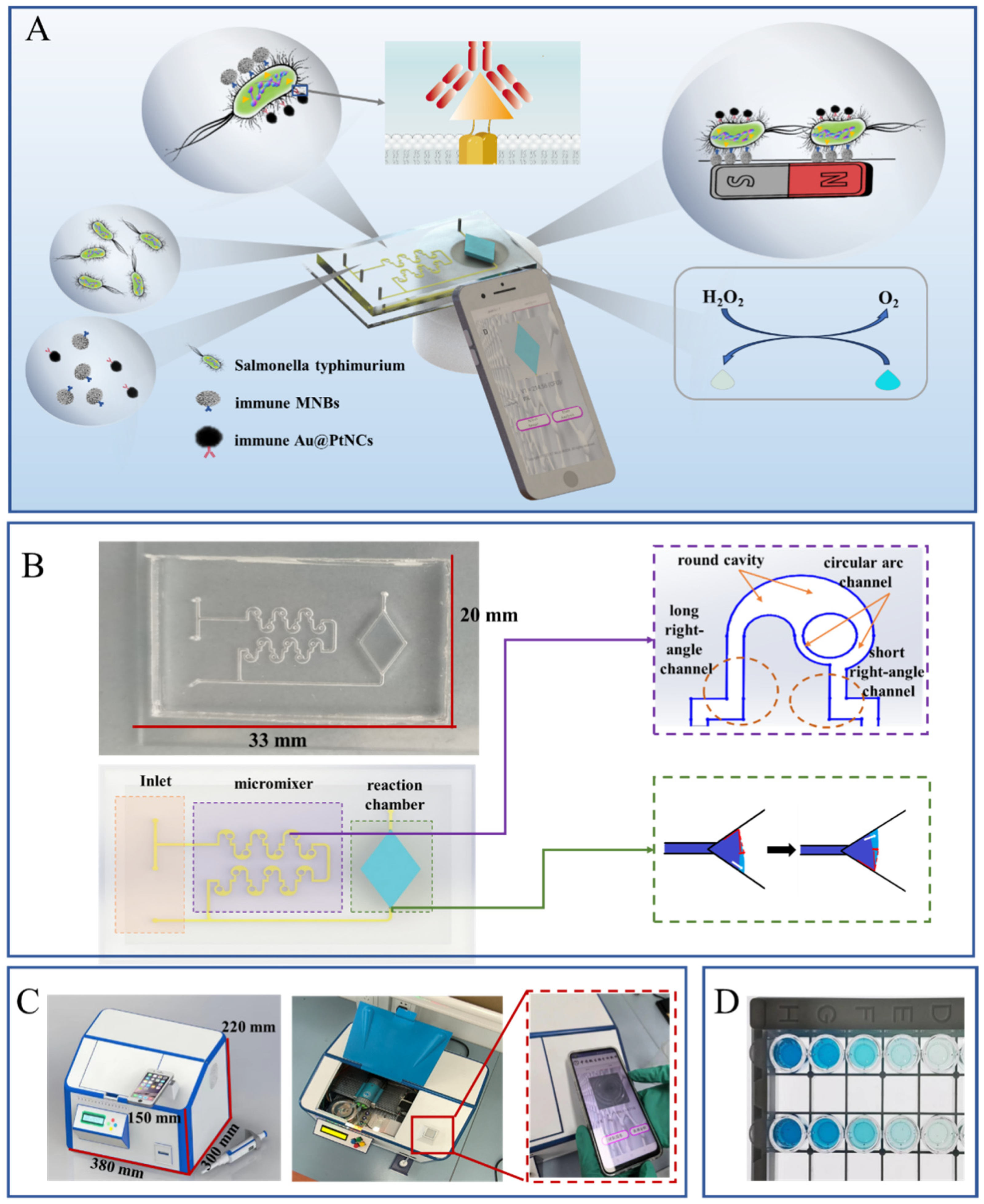 Biosensors 15 00010 g001