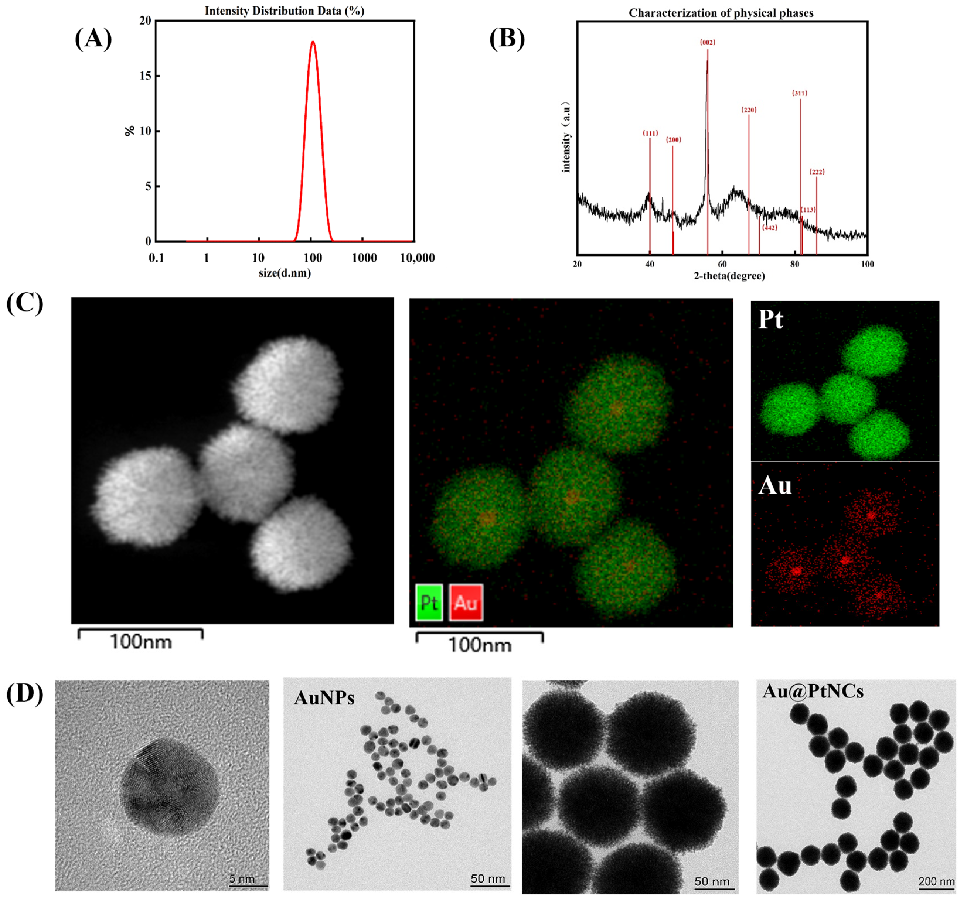 Biosensors 15 00010 g002