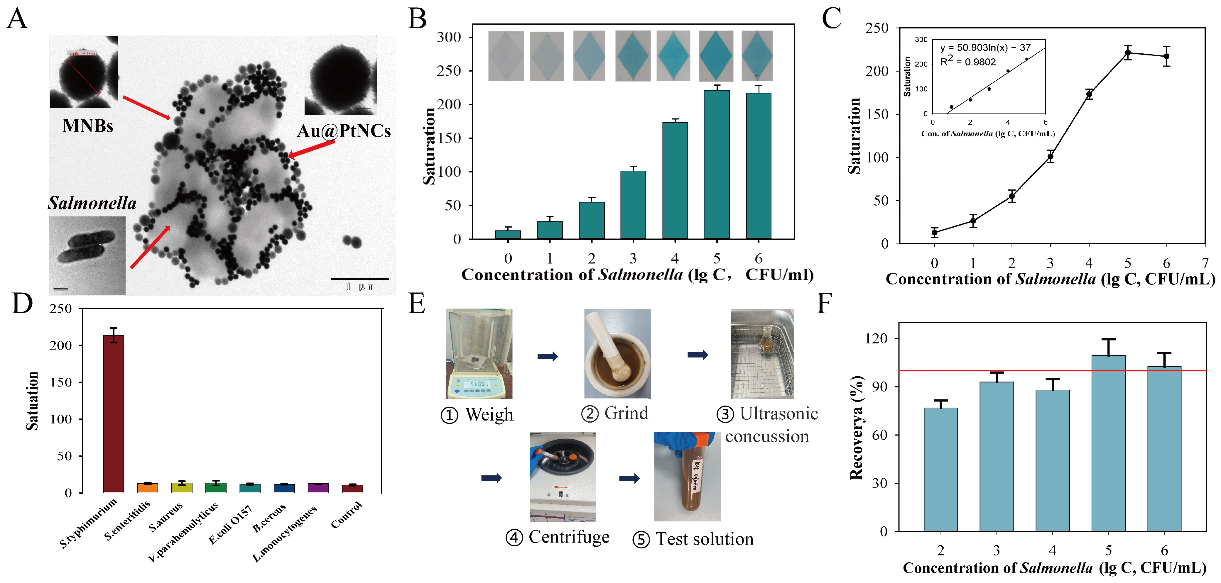 Biosensors 15 00010 g006
