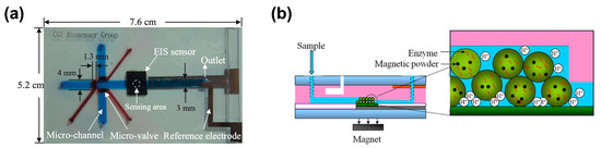 Biosensors 15 00013 g003