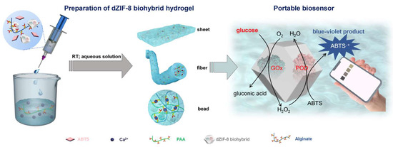 Biosensors 15 00013 g004