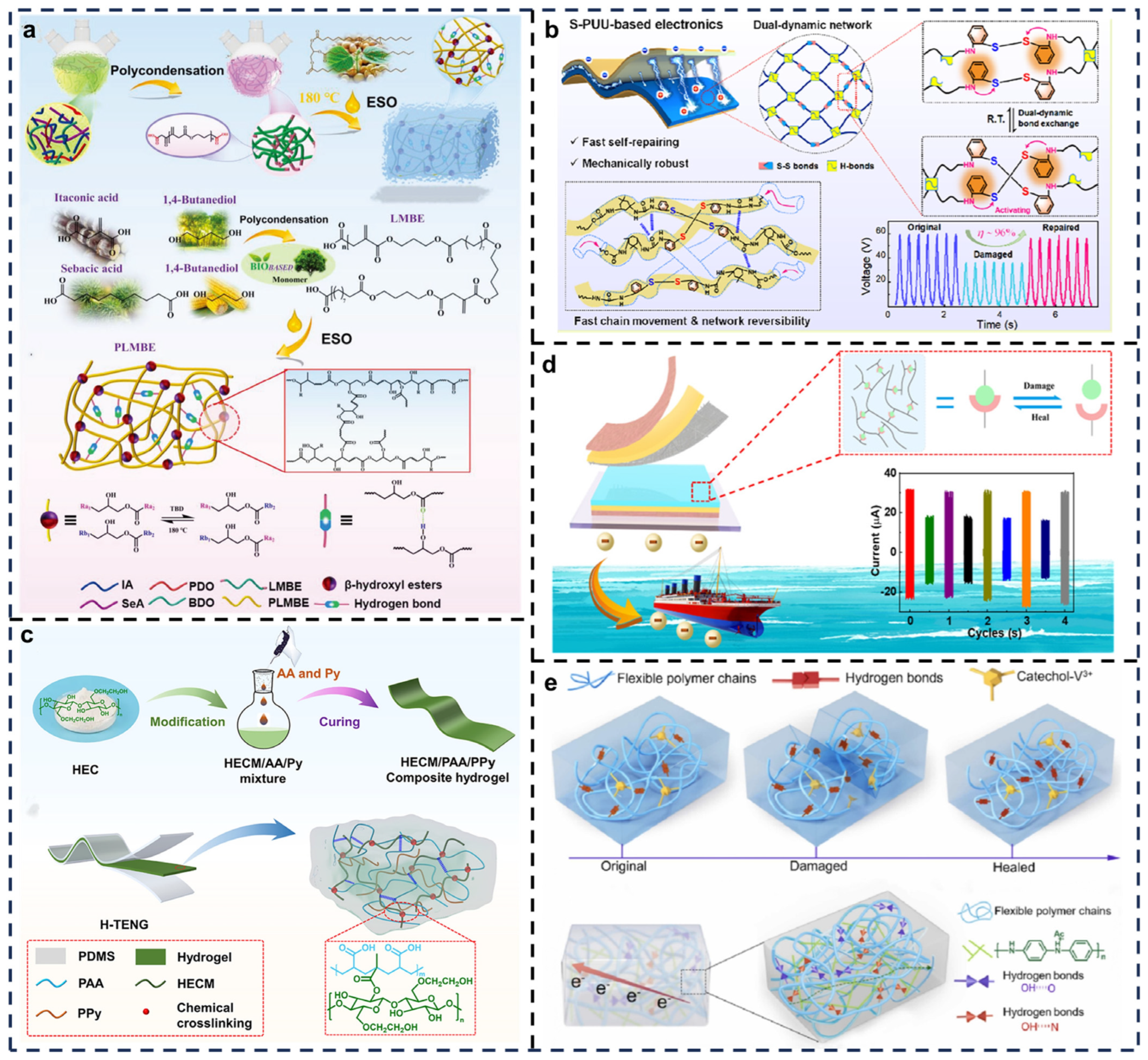 Biosensors 15 00037 g002