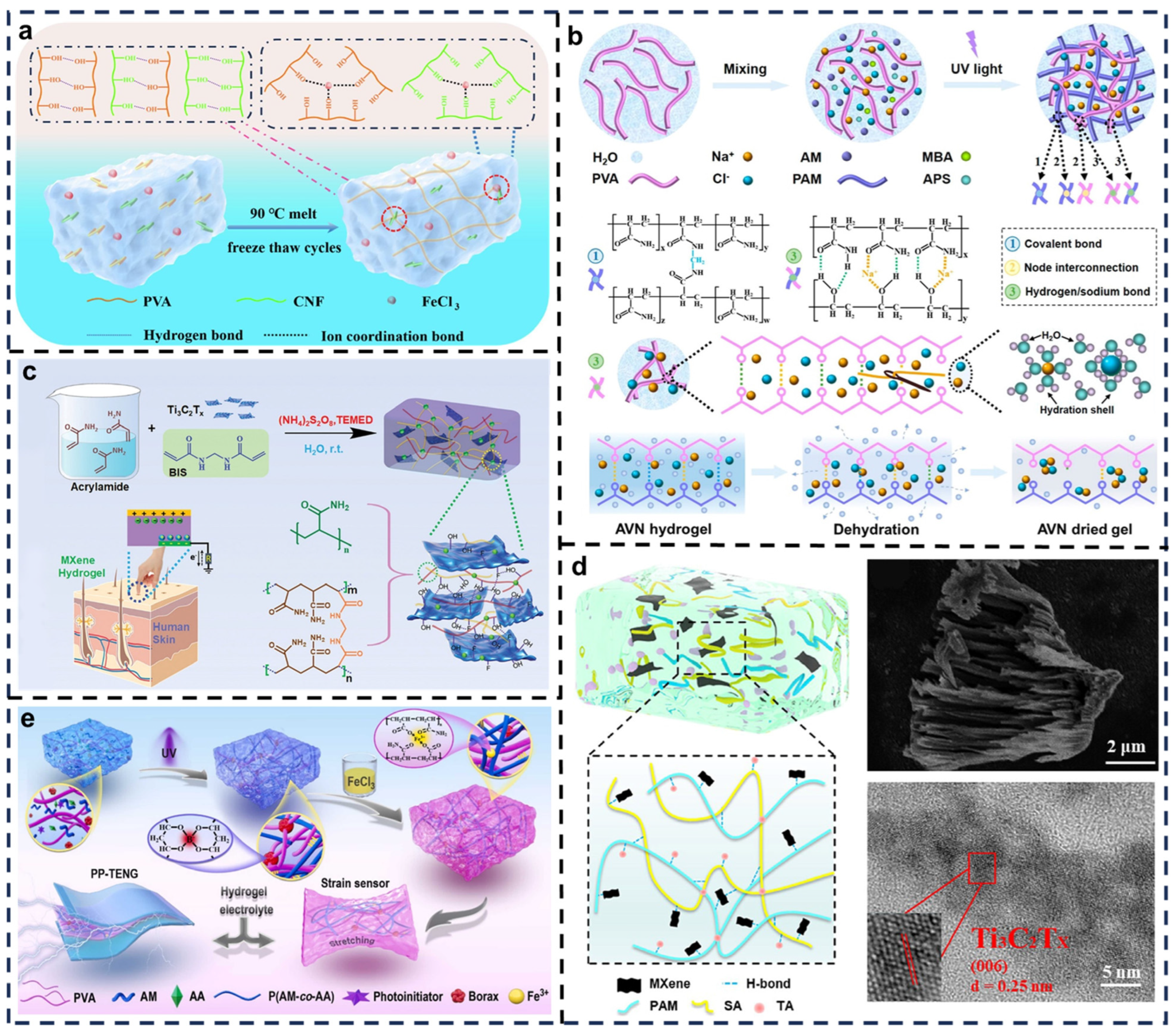 Biosensors 15 00037 g003