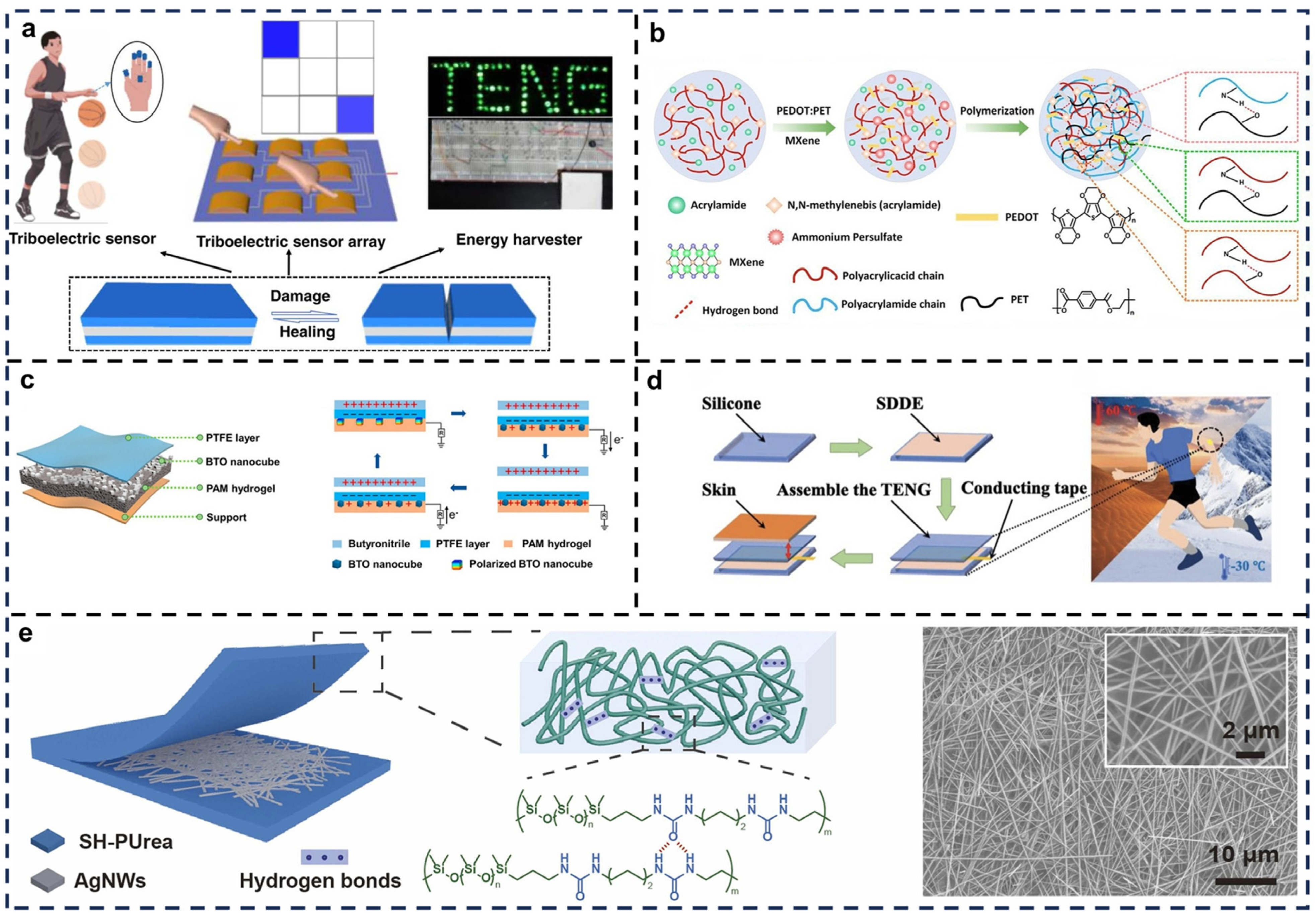 Biosensors 15 00037 g005