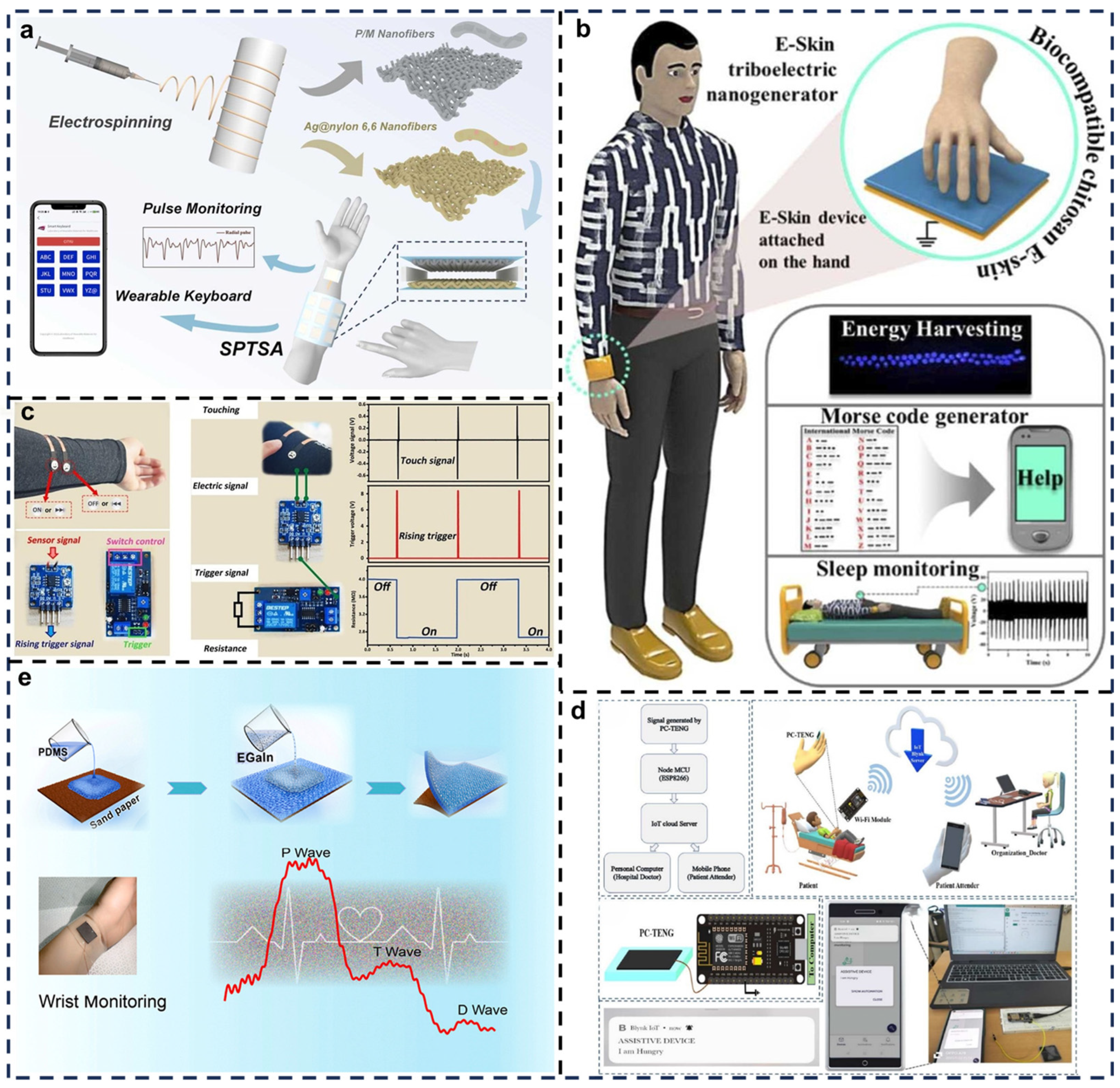 Biosensors 15 00037 g007