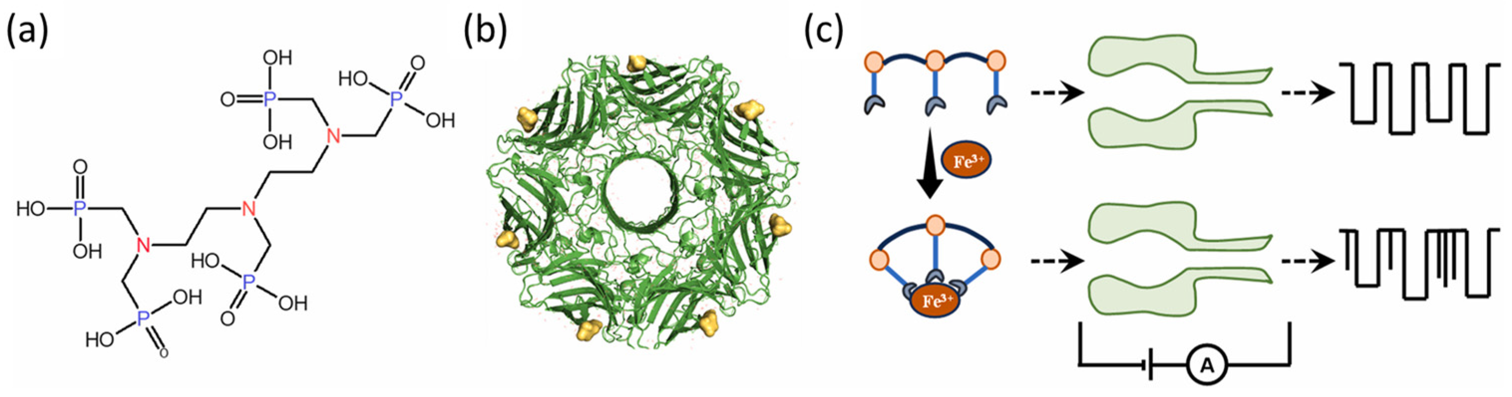 Biosensors 15 00041 g001