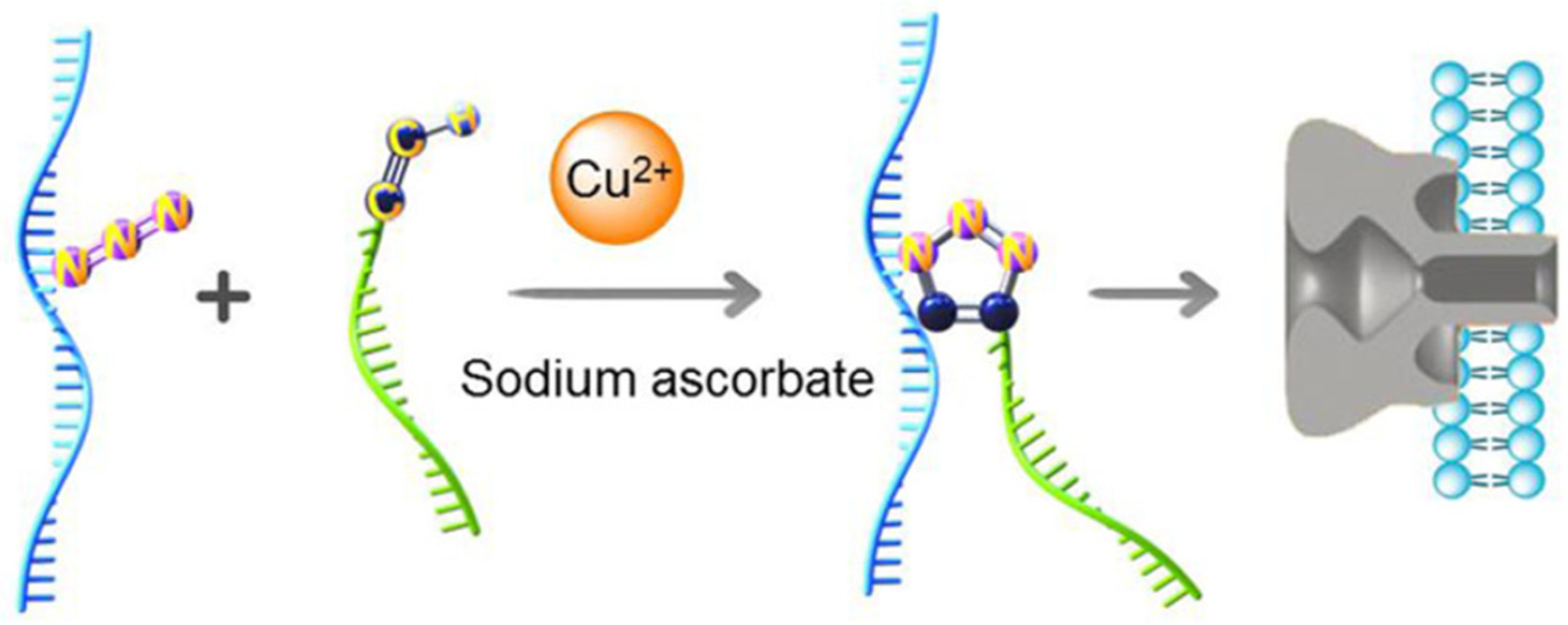 Biosensors 15 00041 g002