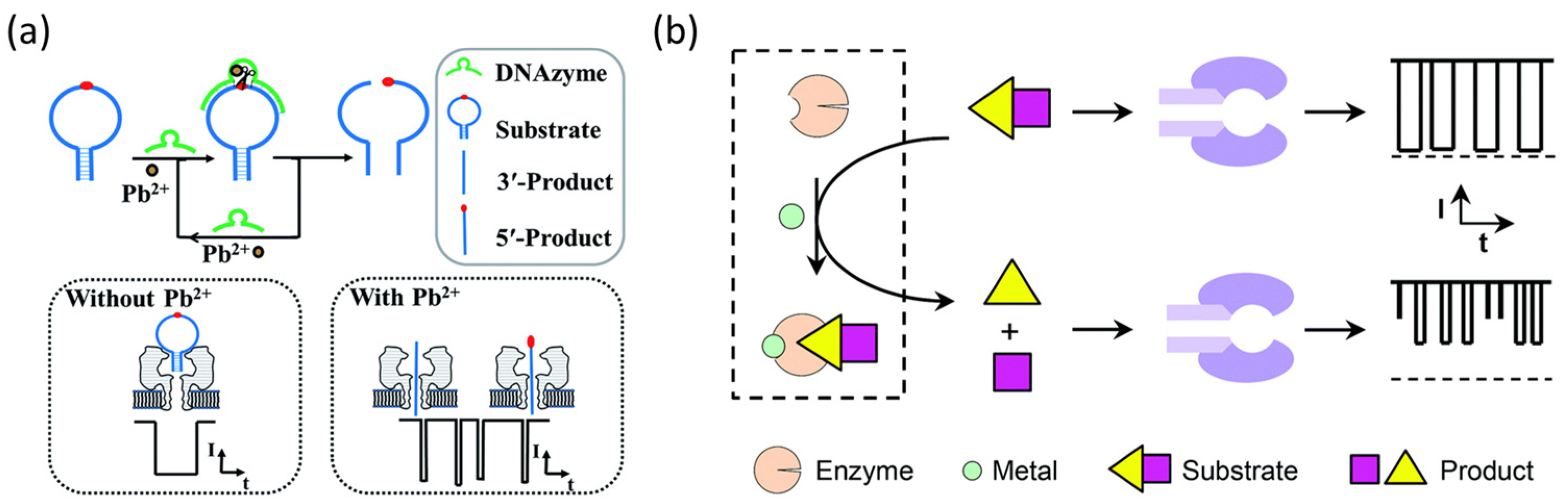 Biosensors 15 00041 g003