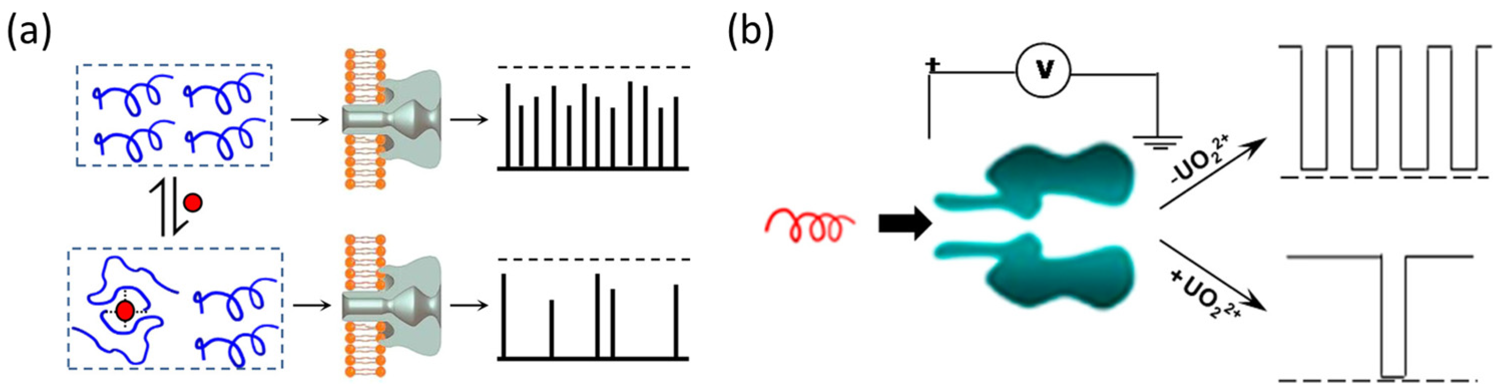 Biosensors 15 00041 g004
