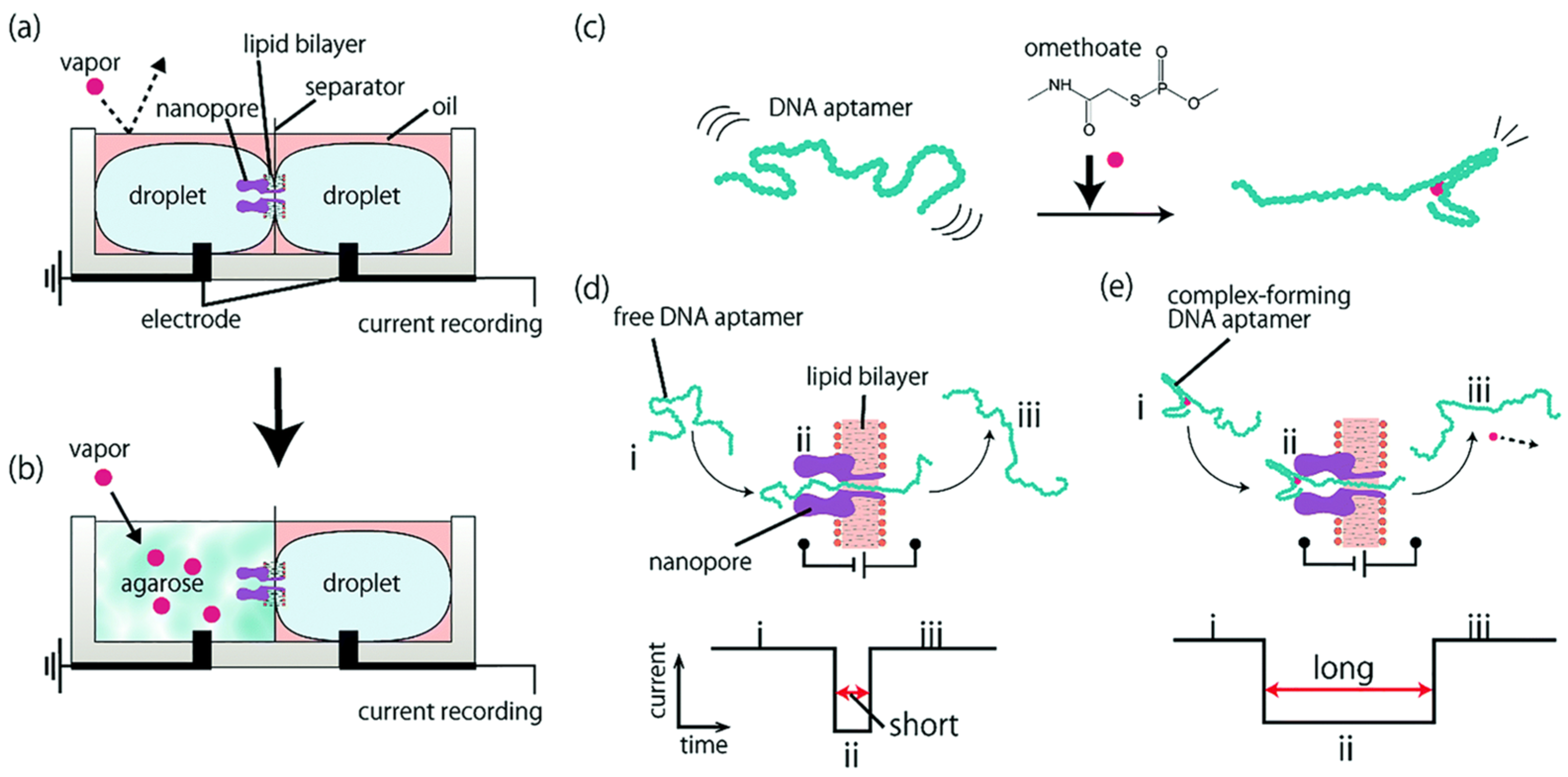 Biosensors 15 00041 g005