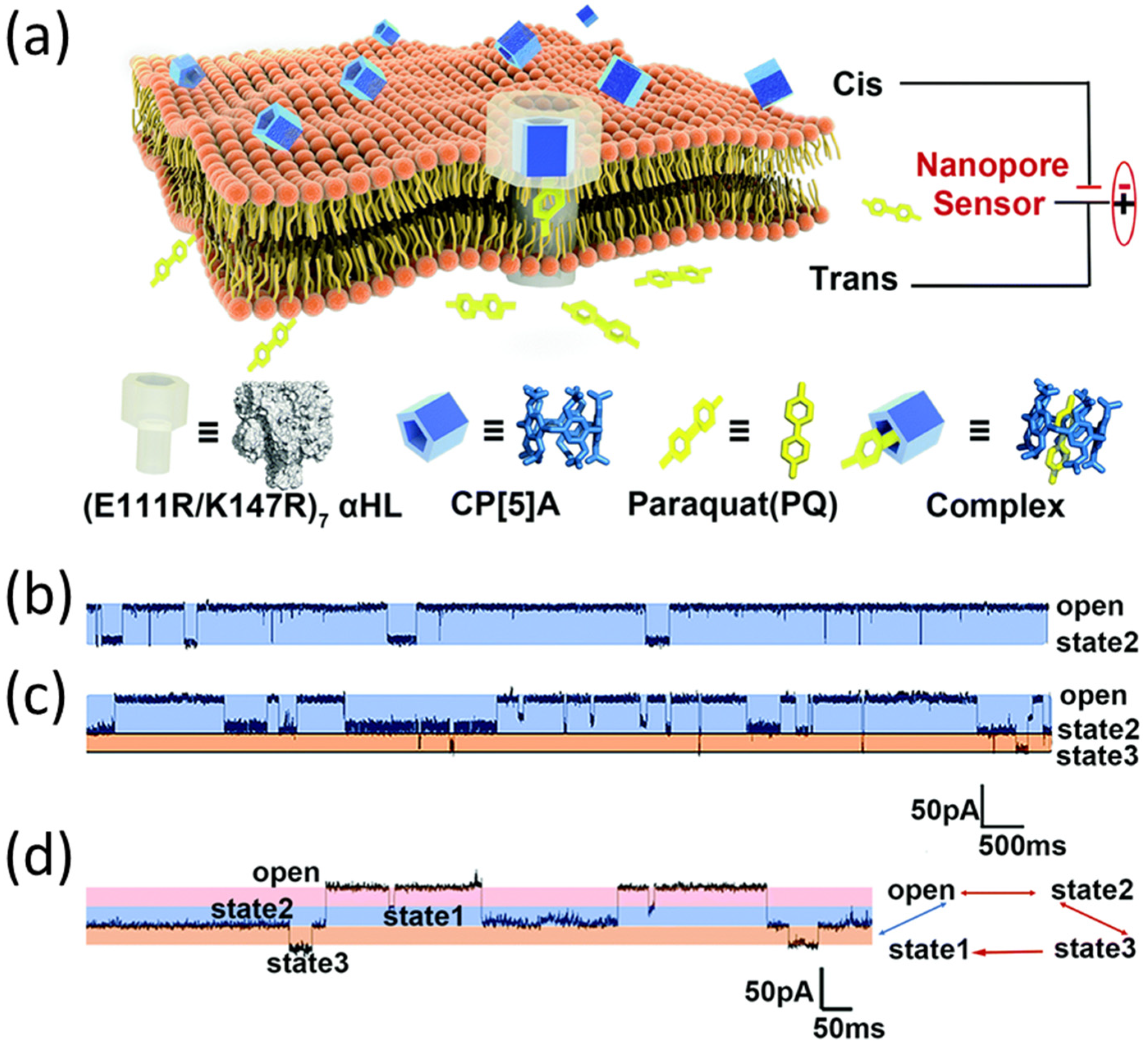 Biosensors 15 00041 g006